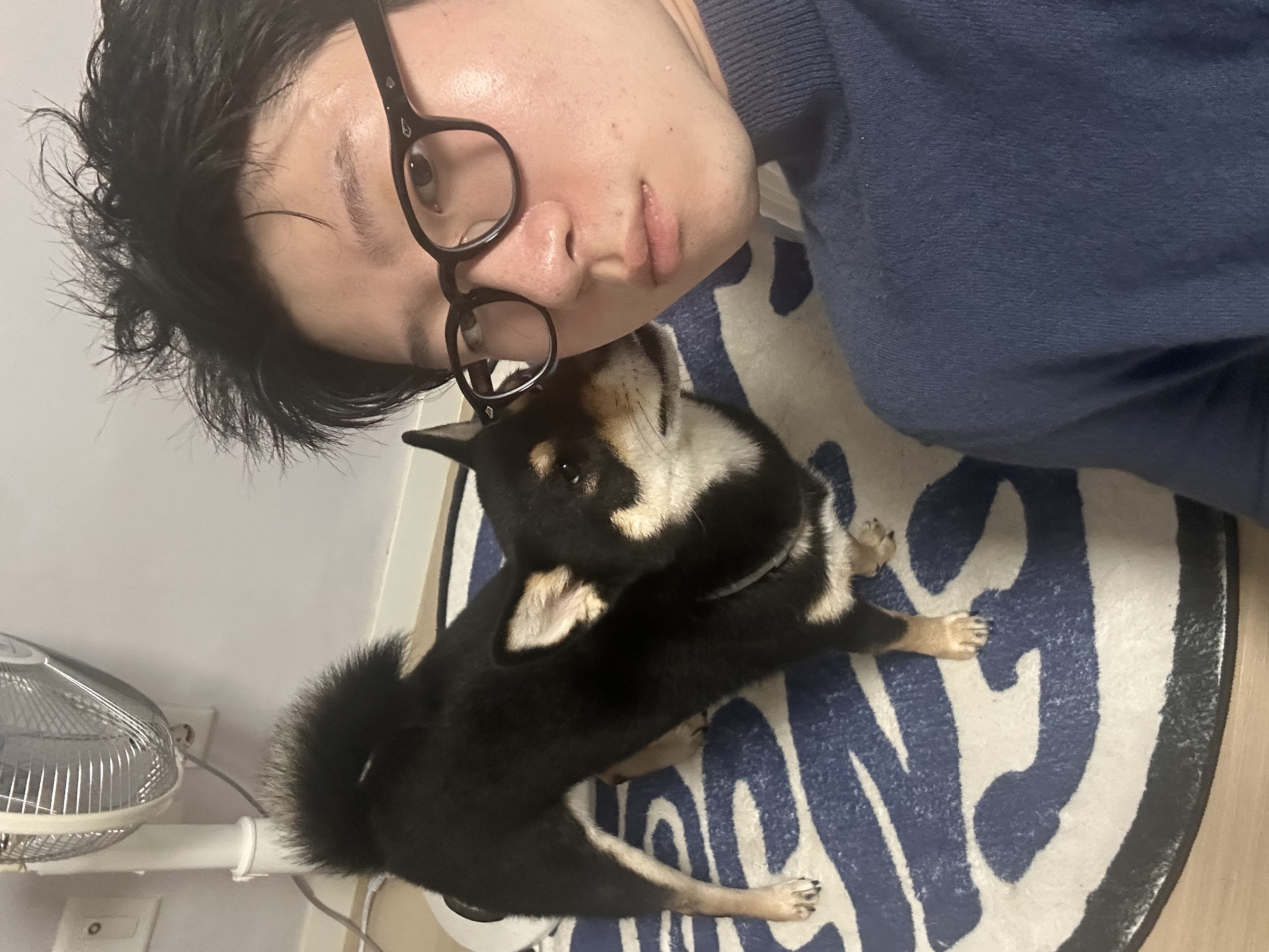 image-6