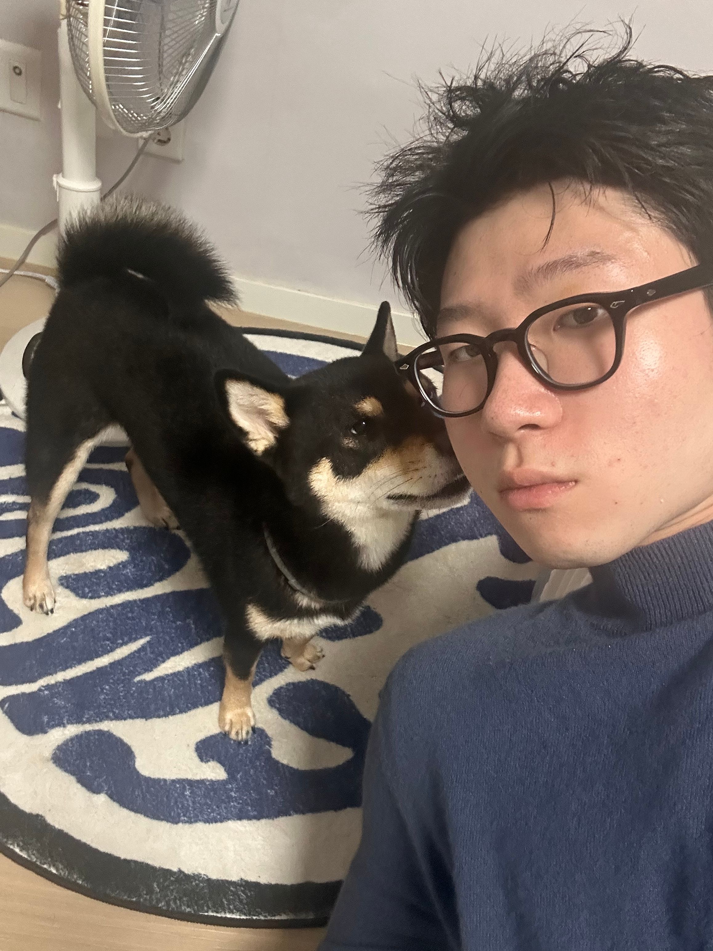 image-6