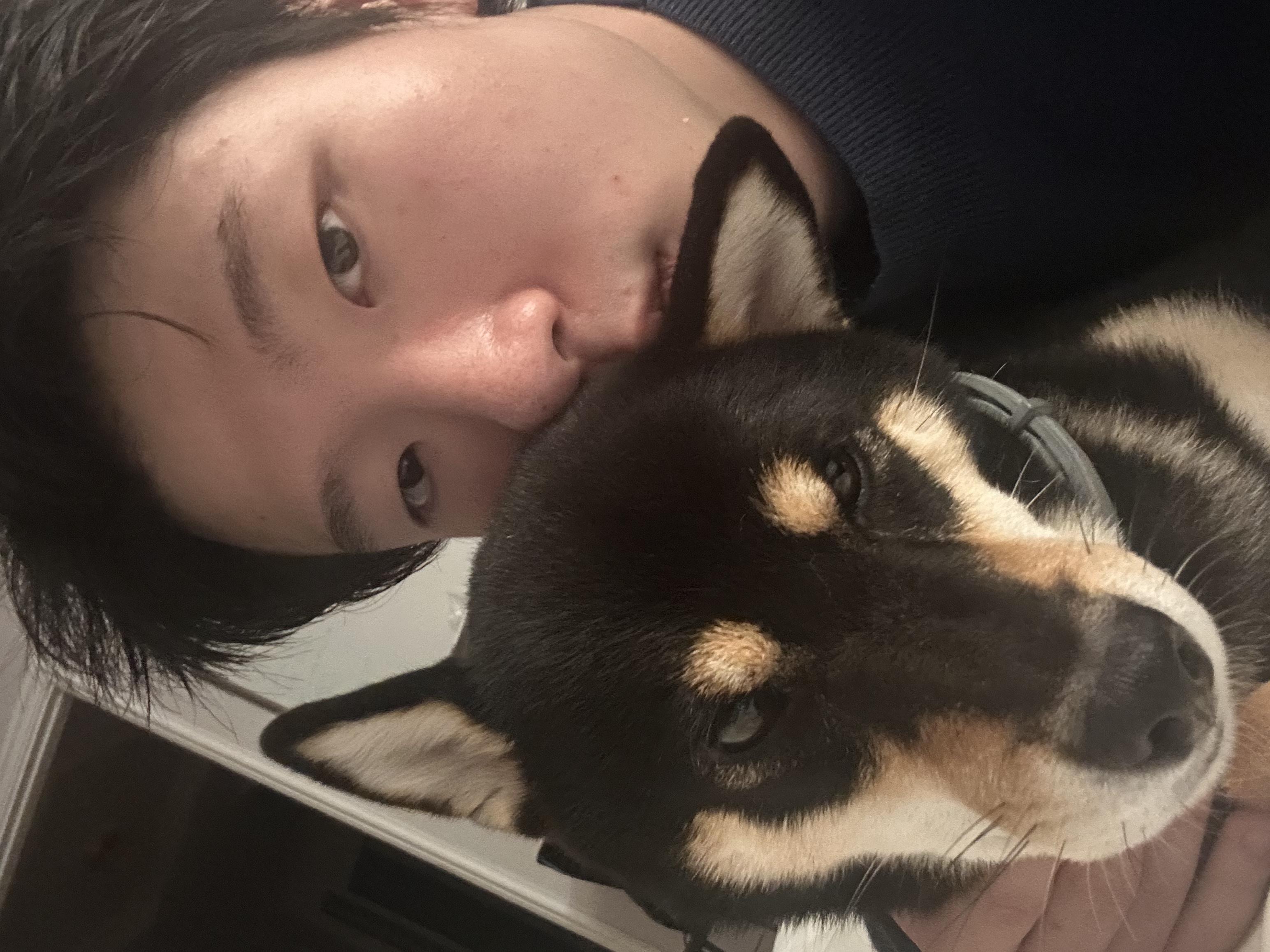 image-5