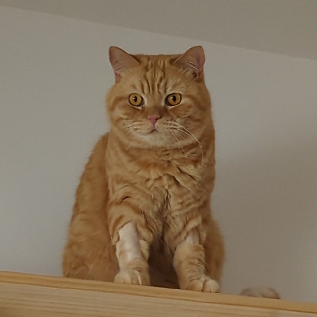 Cheetos