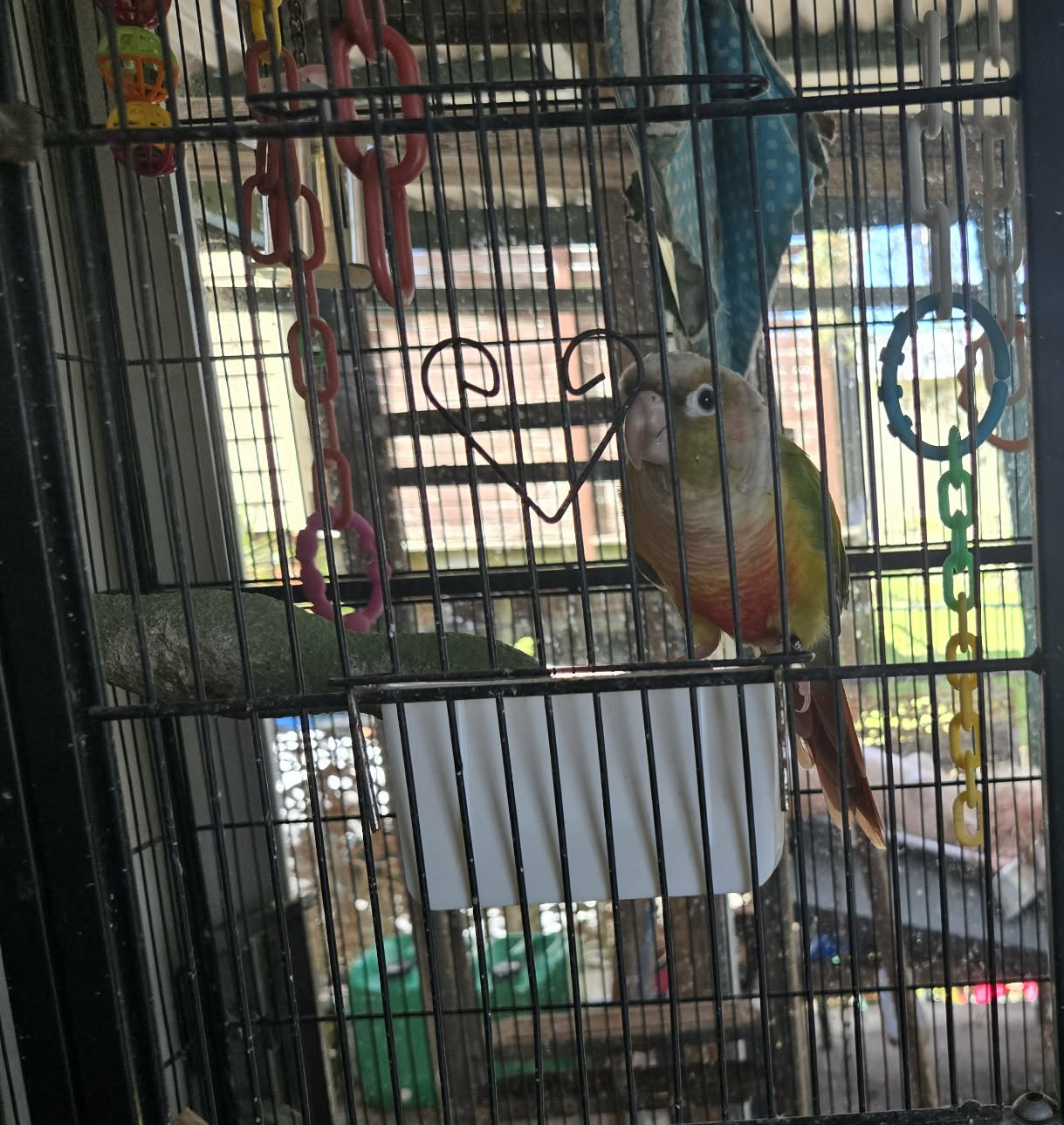 image-11