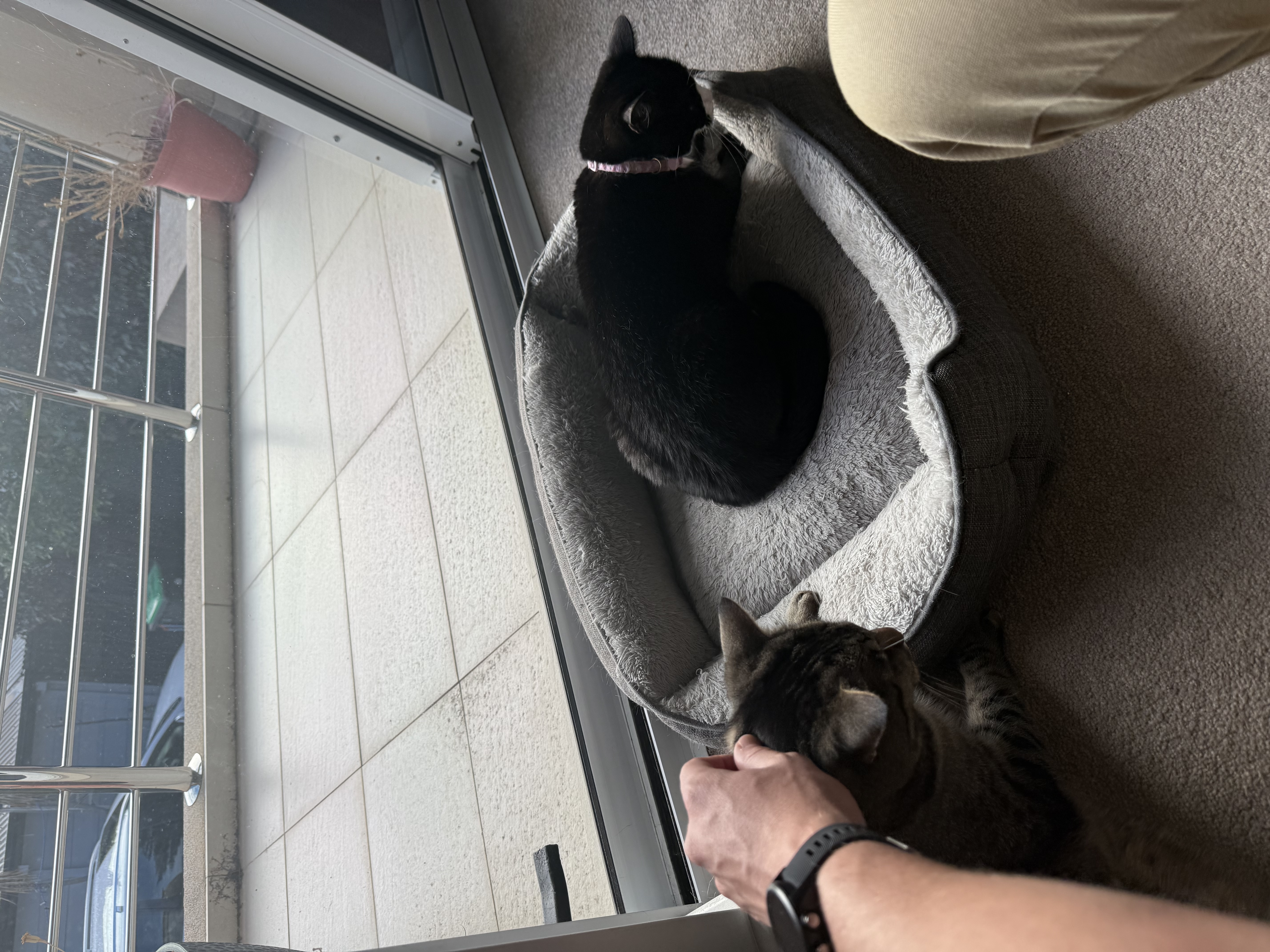 image-11