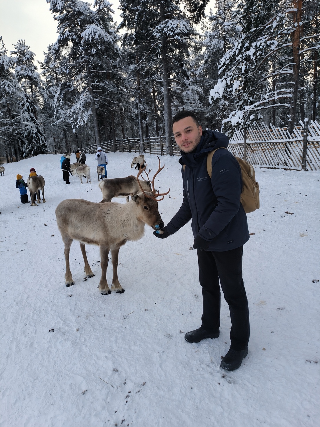 image-7