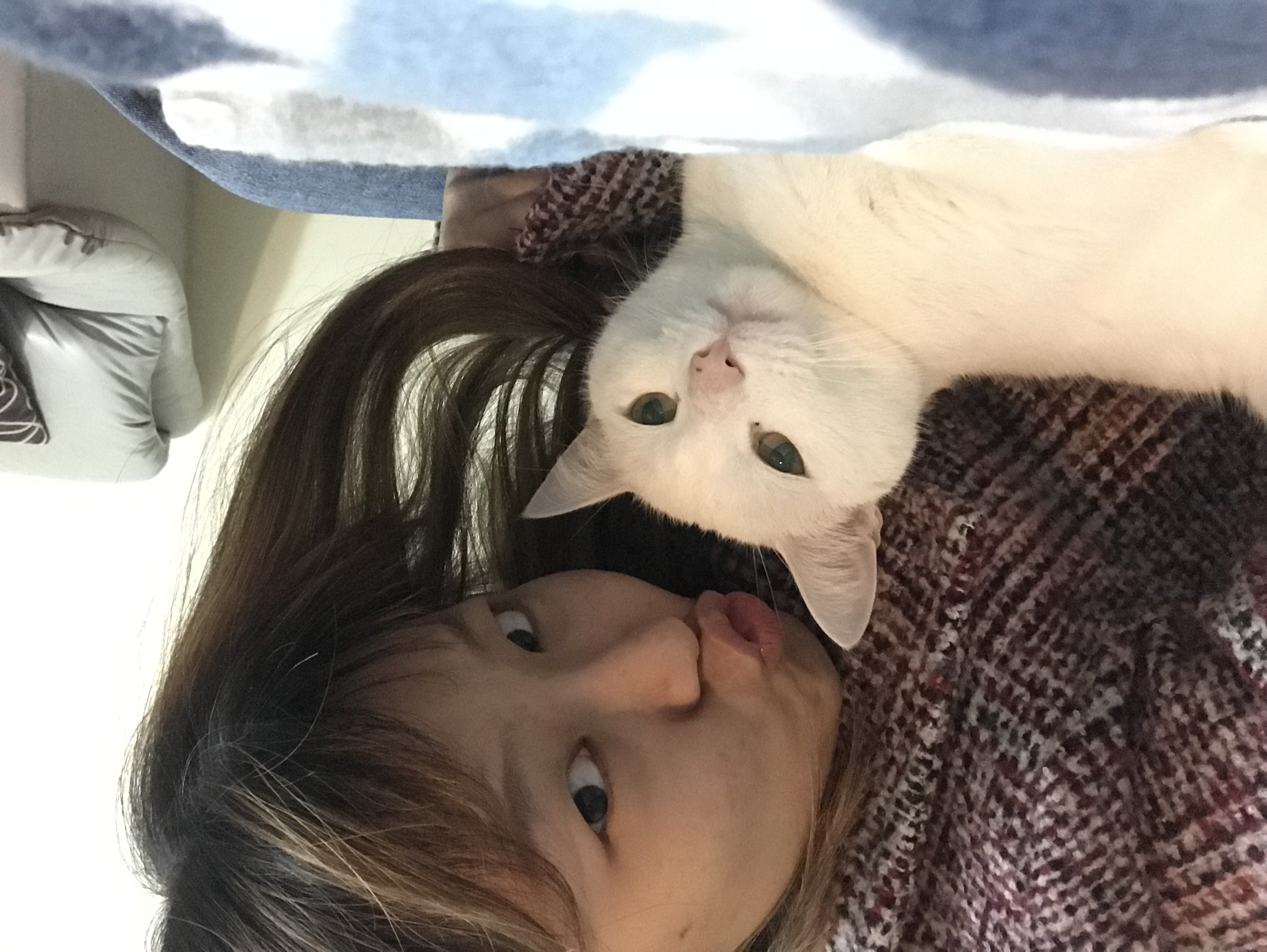 image-2
