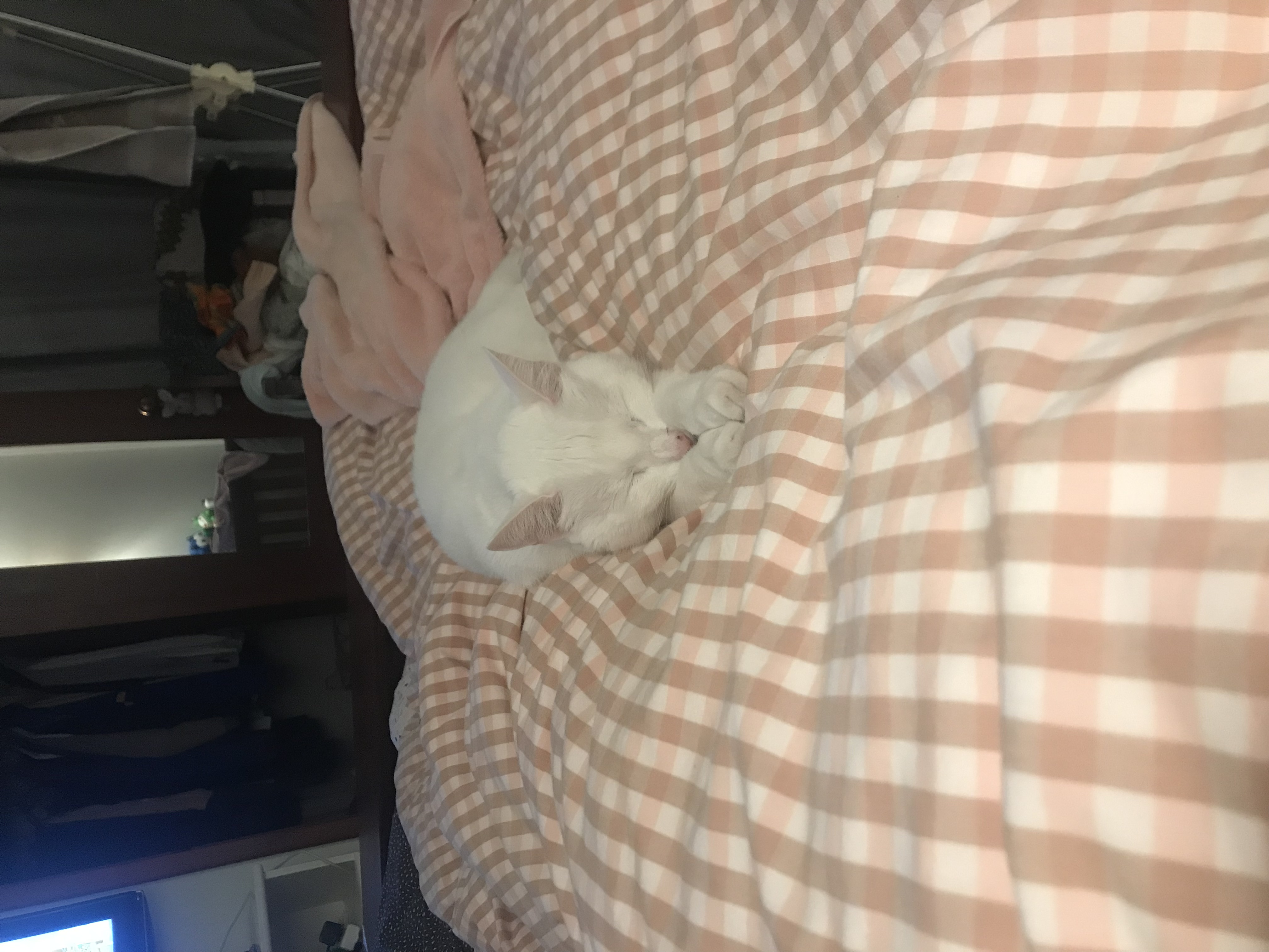 image-9
