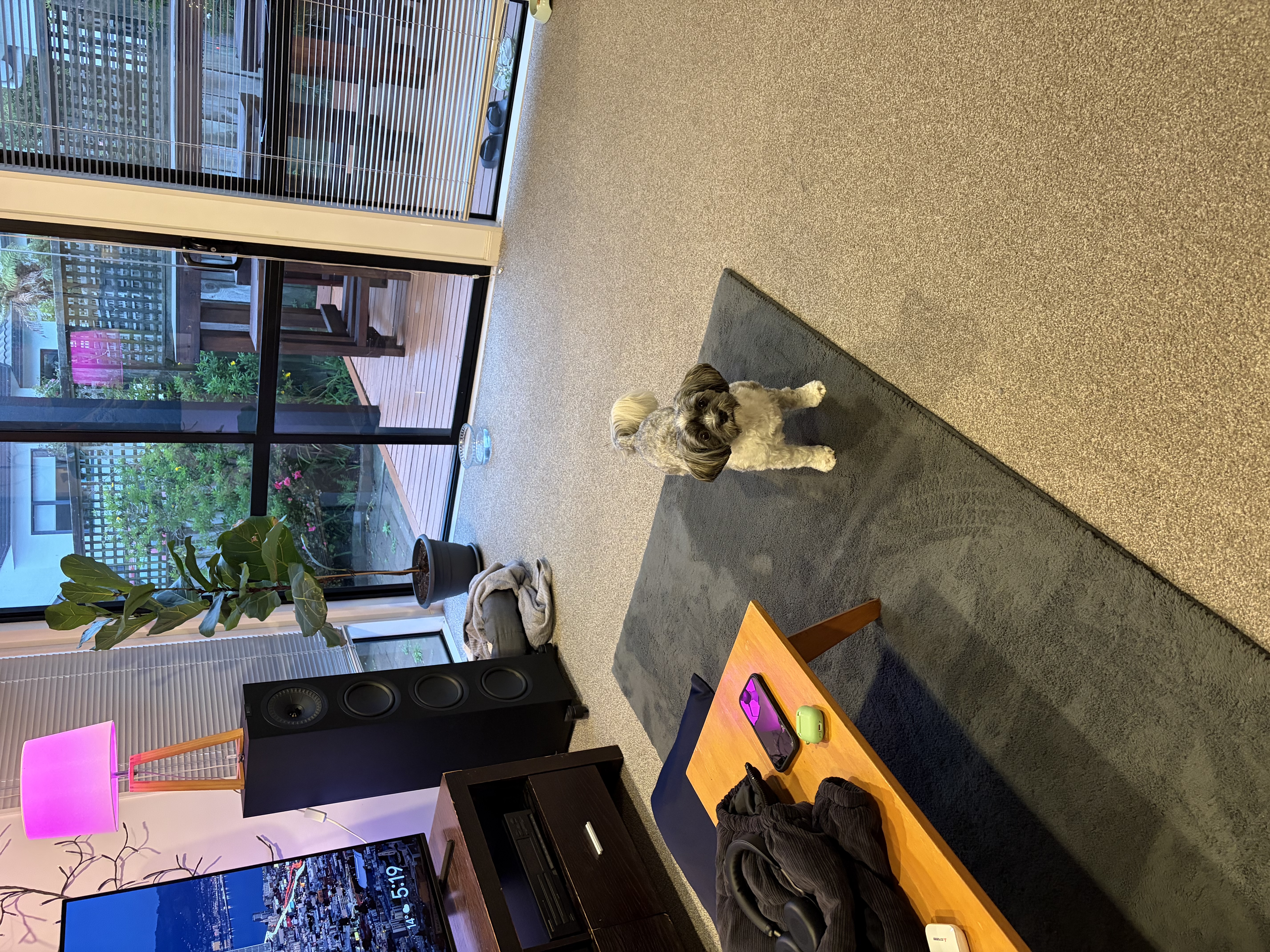 image-19