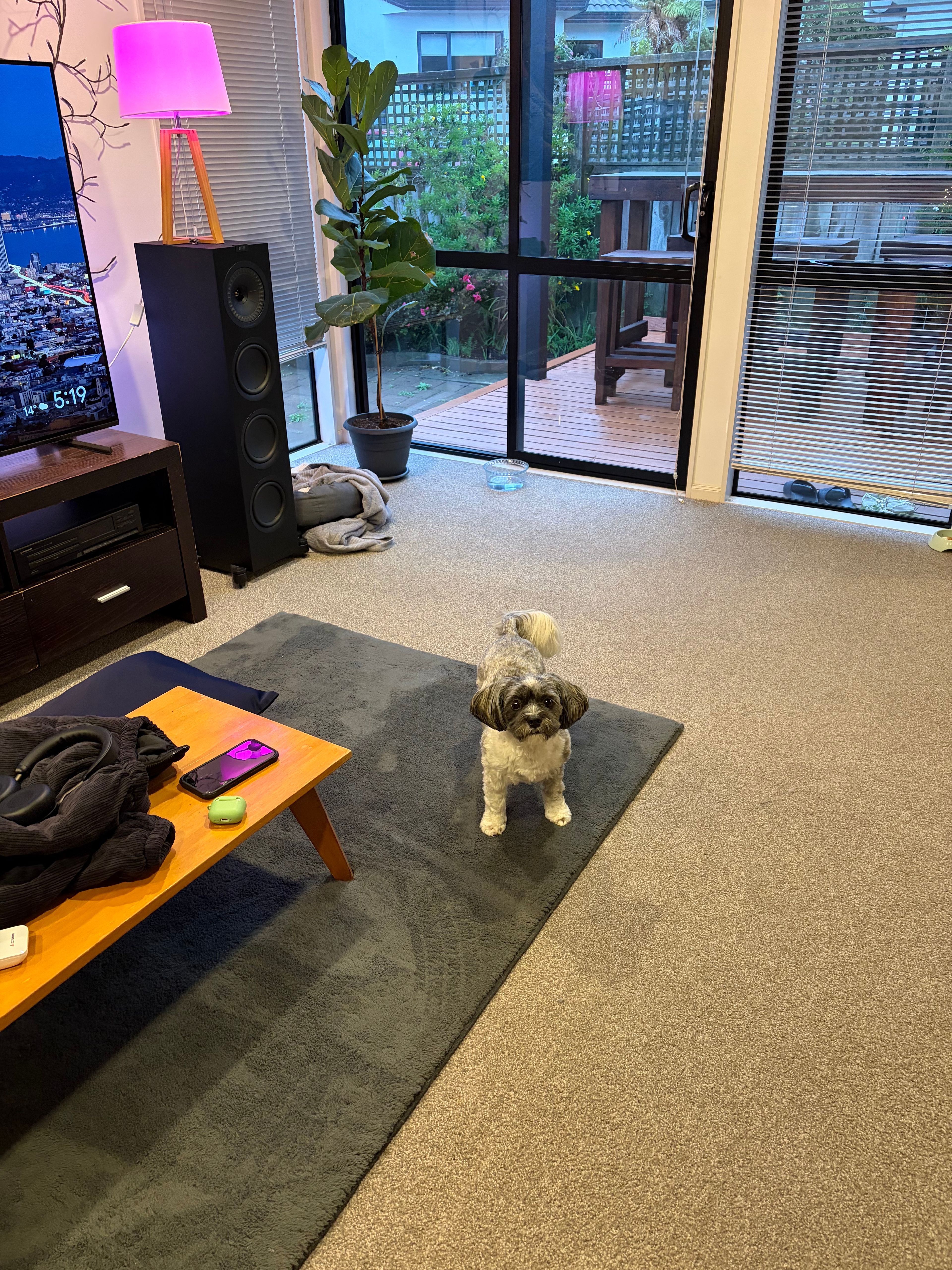 image-19