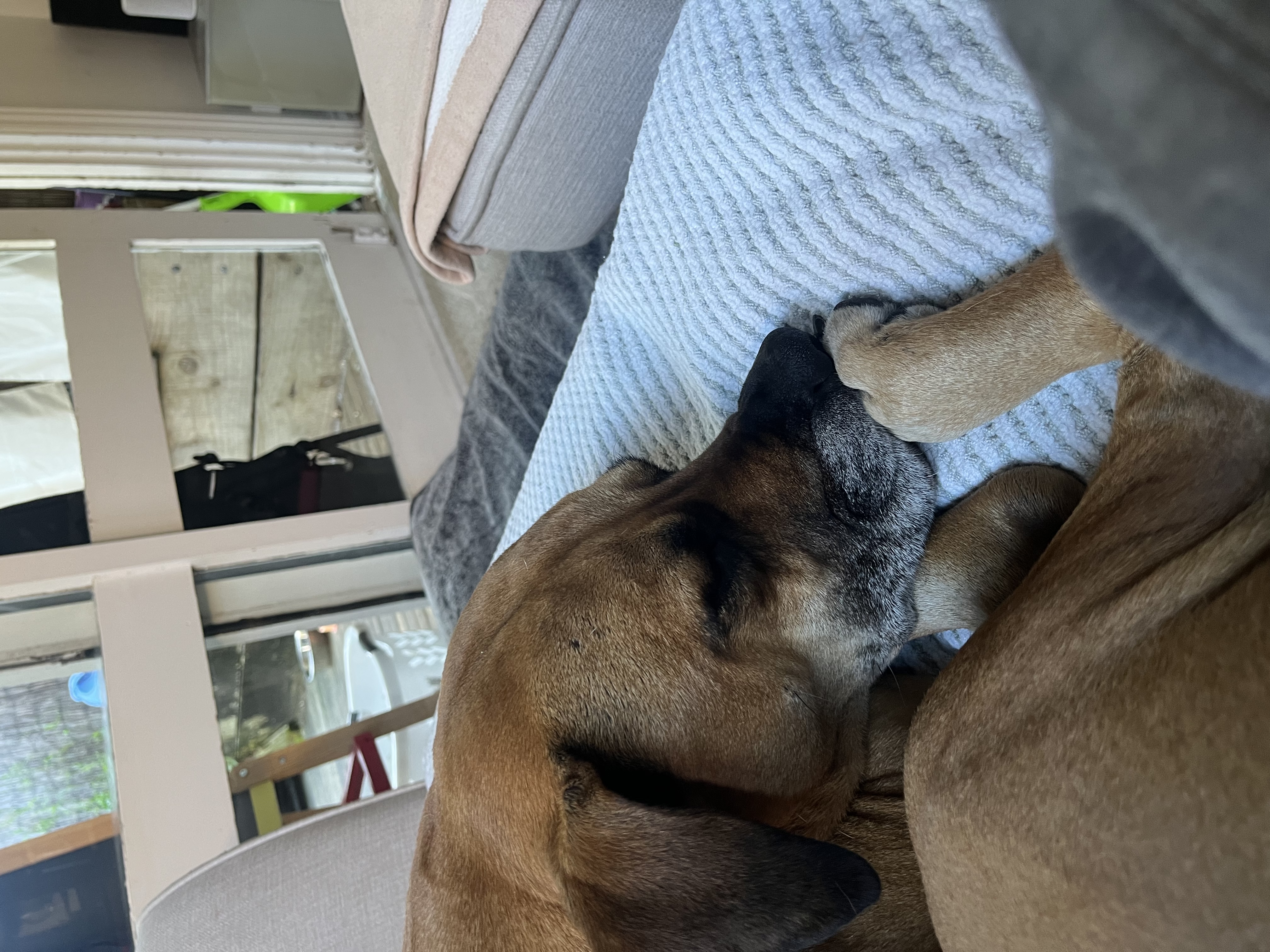 image-6