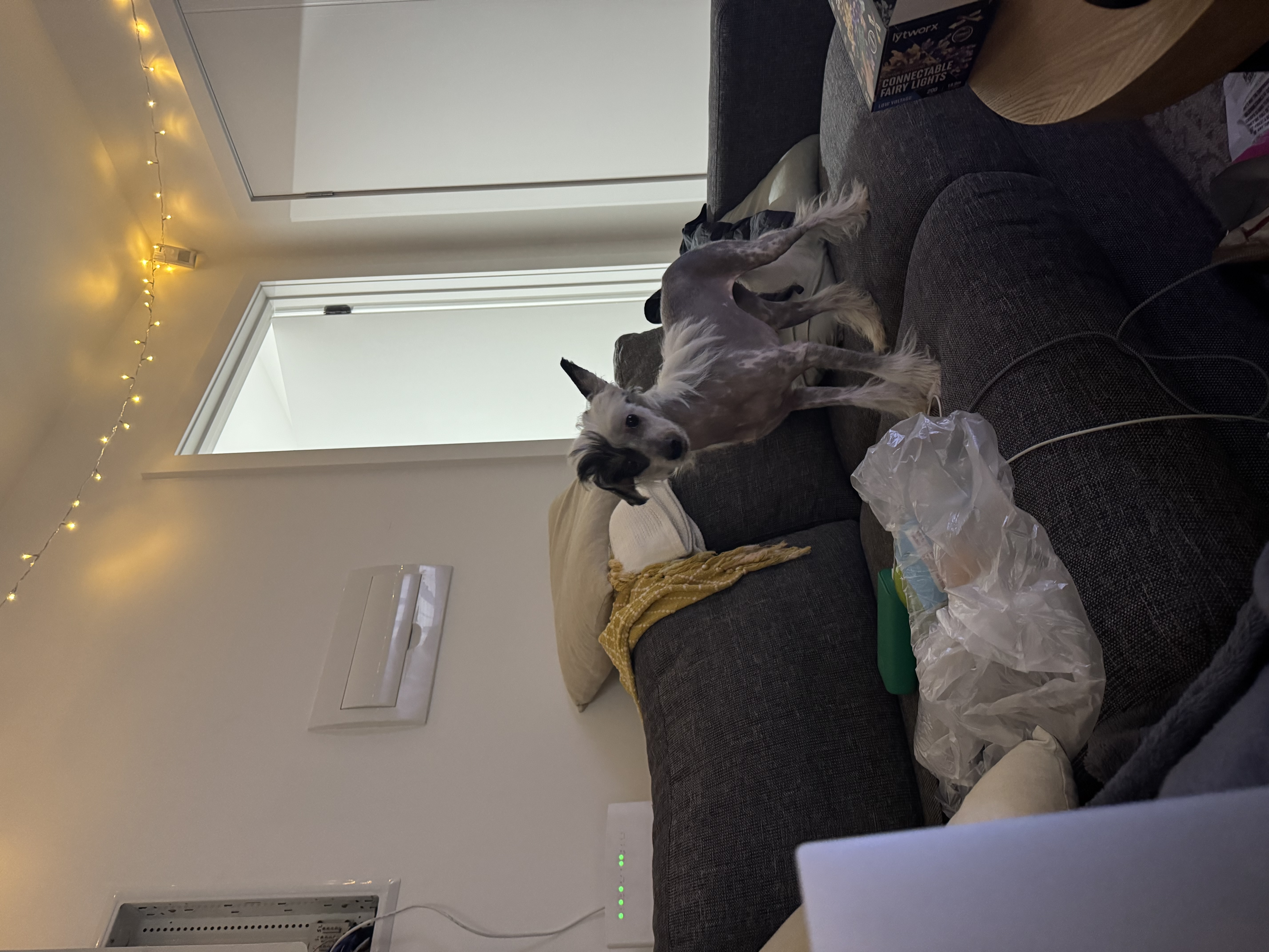 image-12