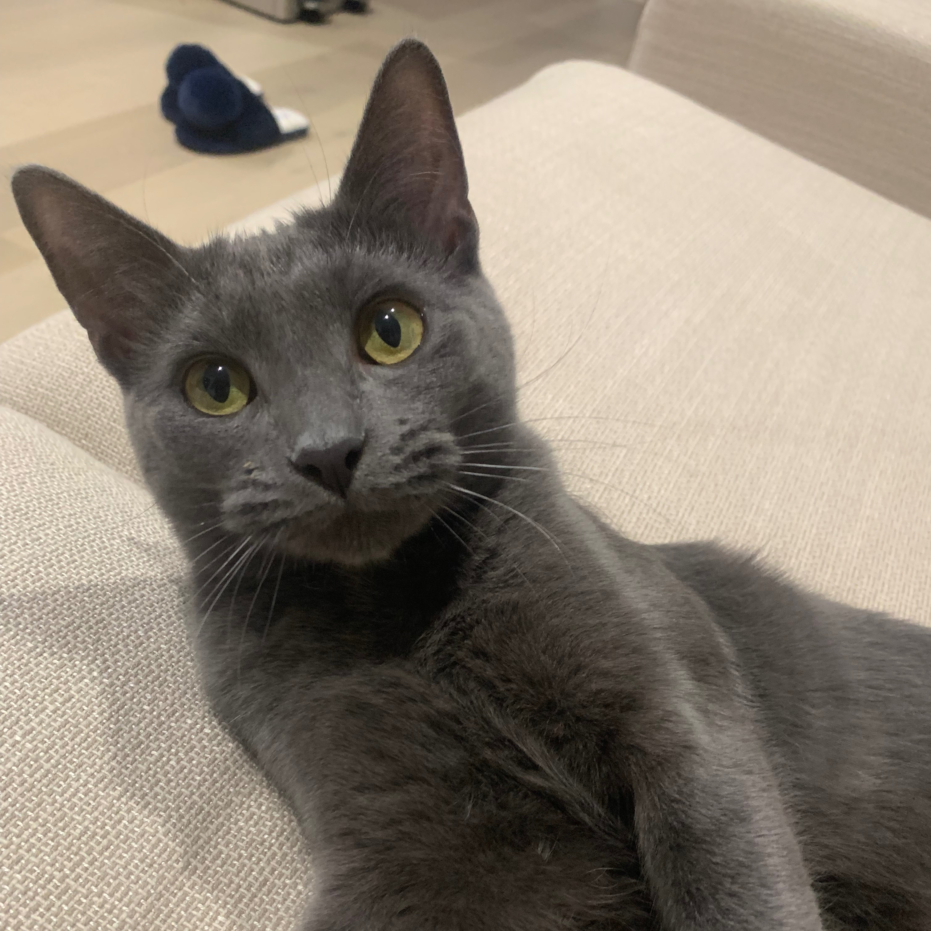 Mila 