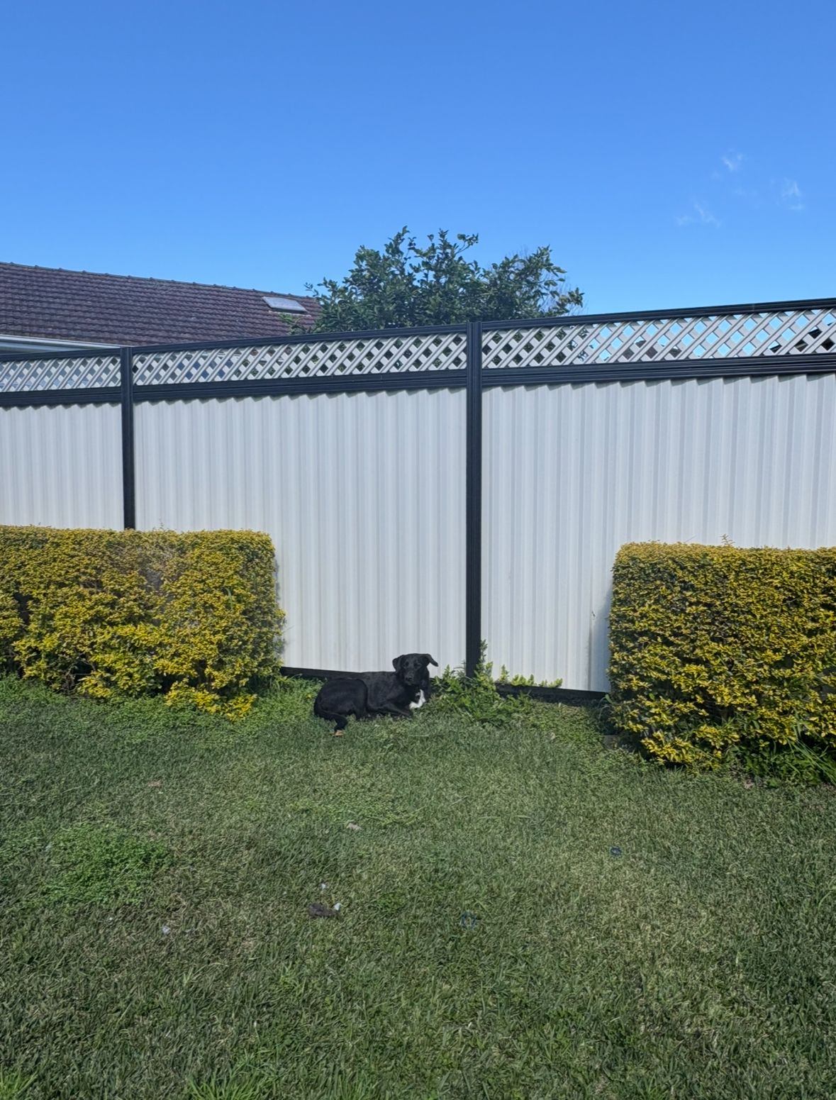 image-17