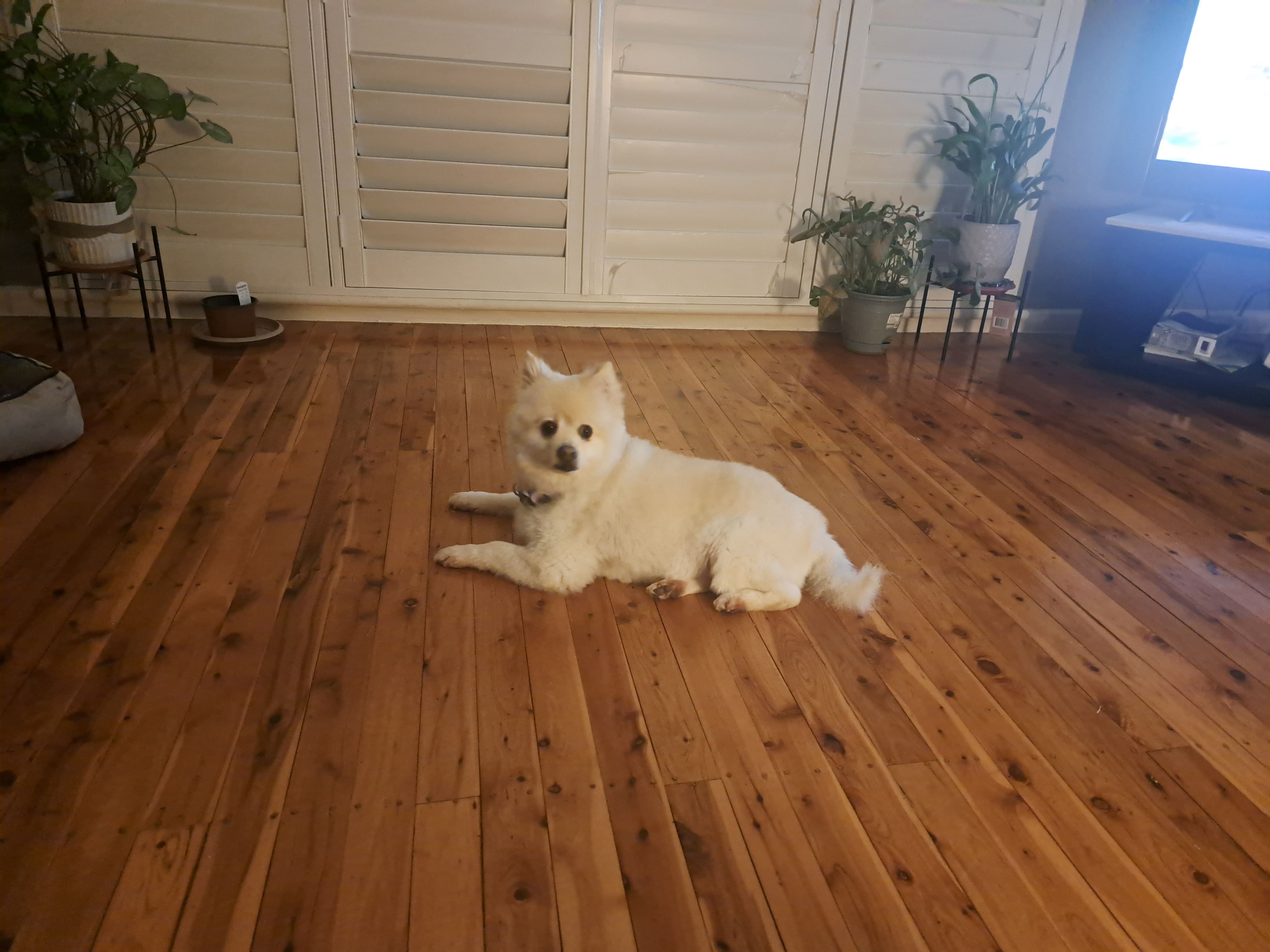 image-15