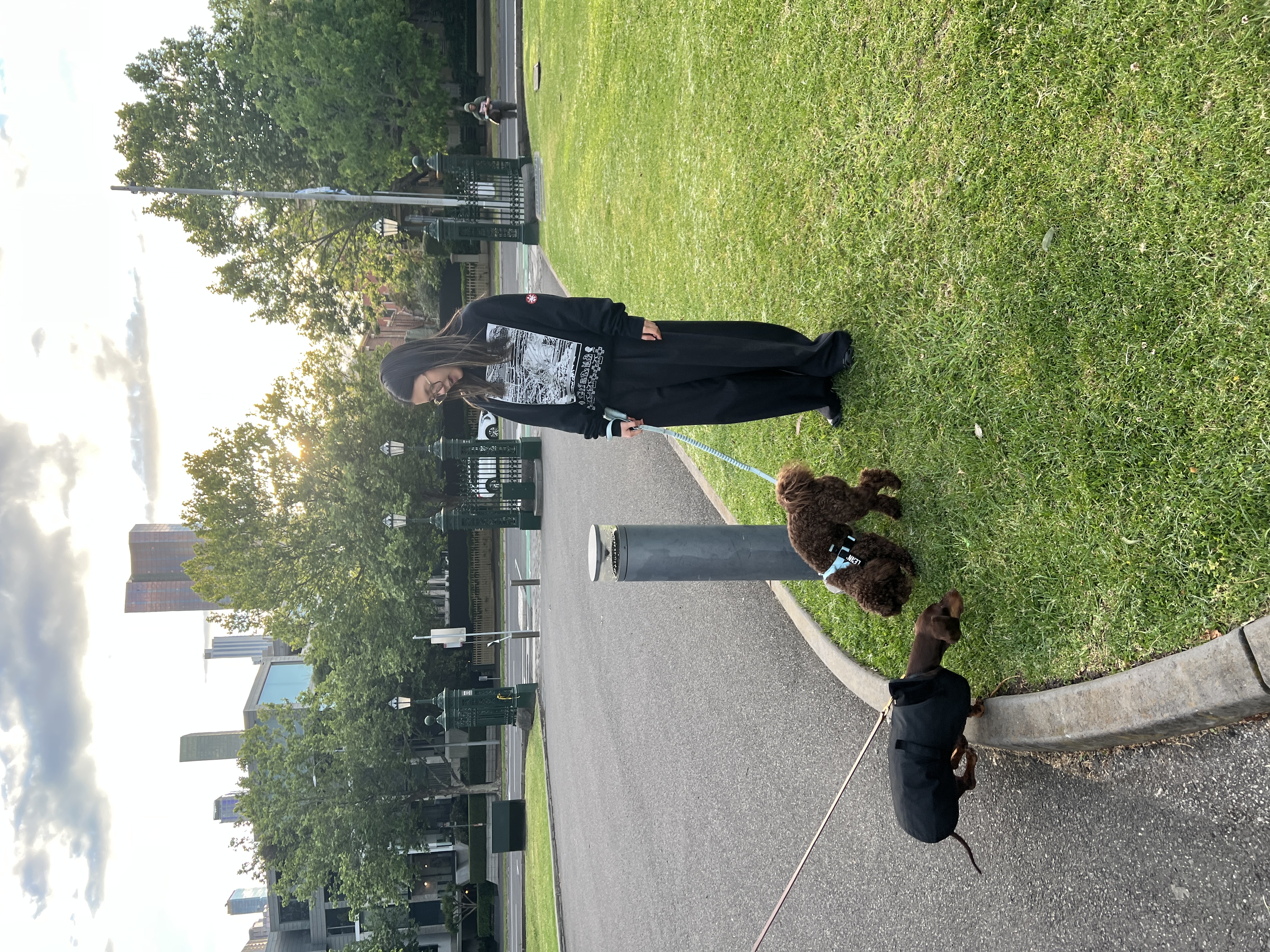 image-7