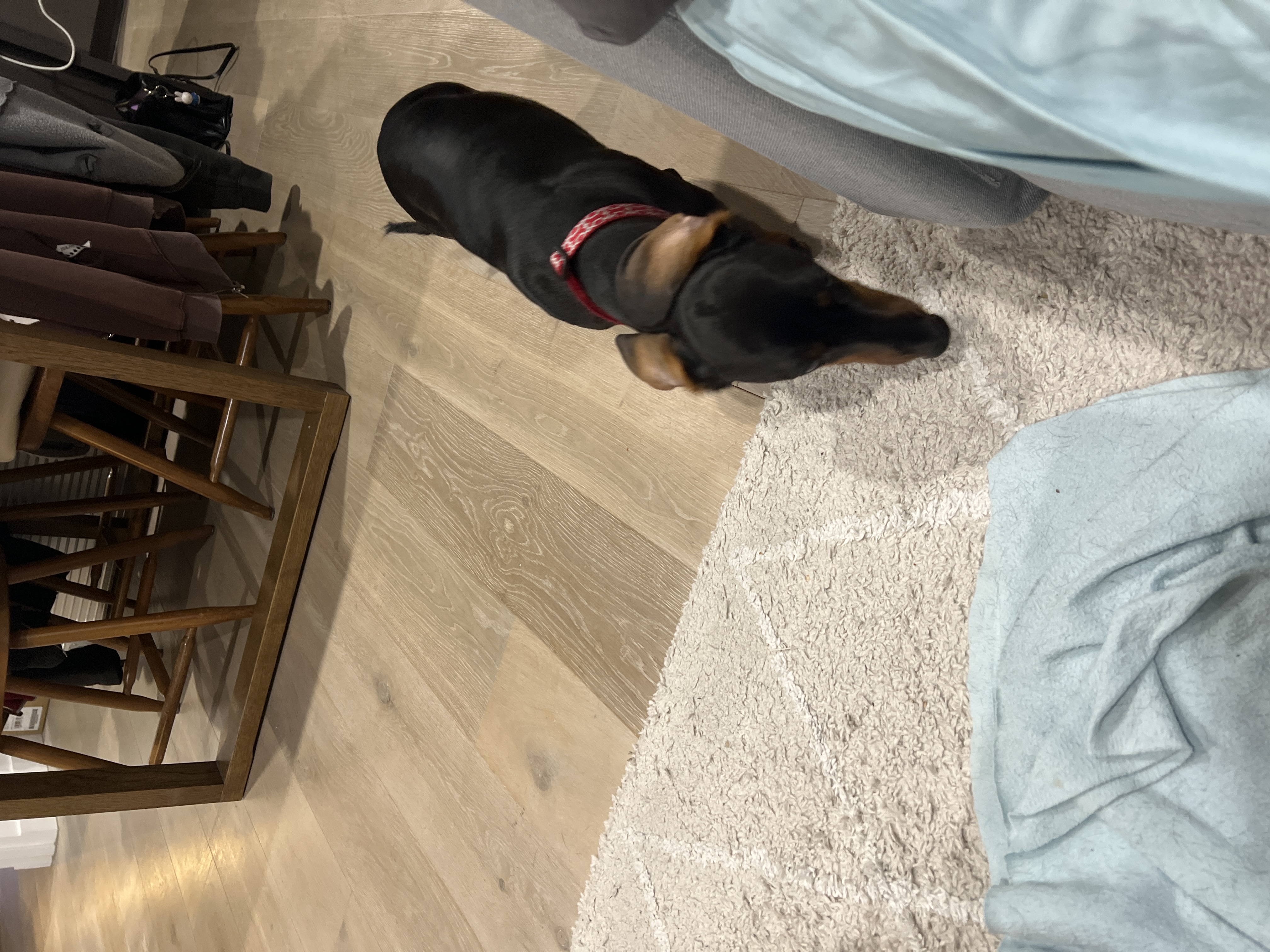 image-16