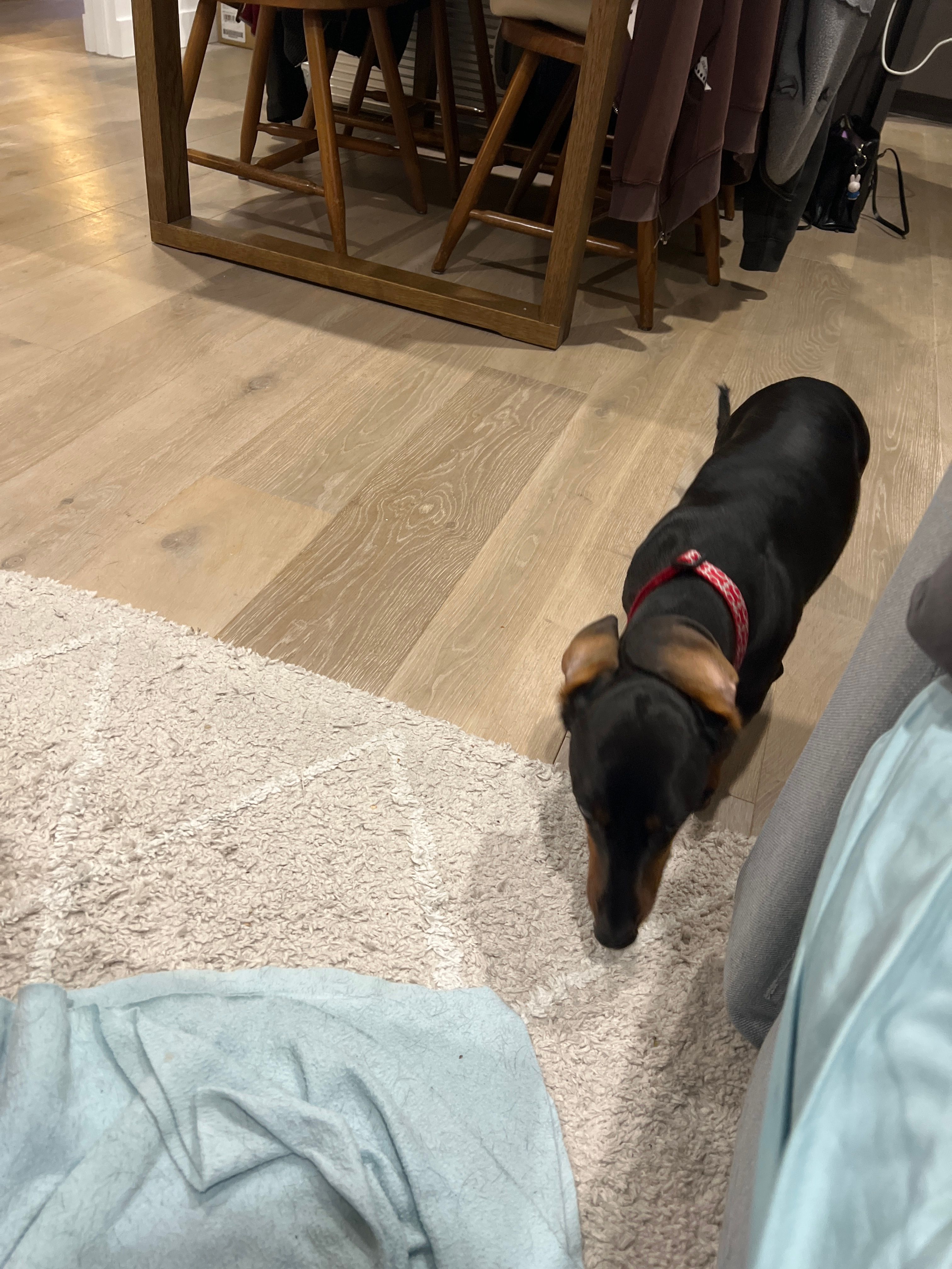 image-16