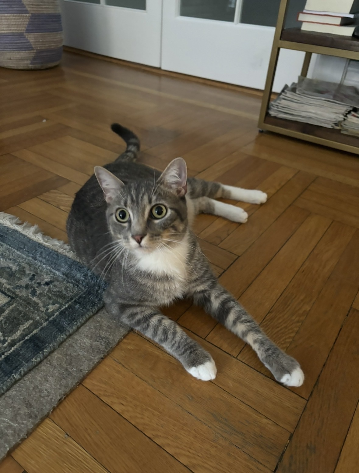 image-12