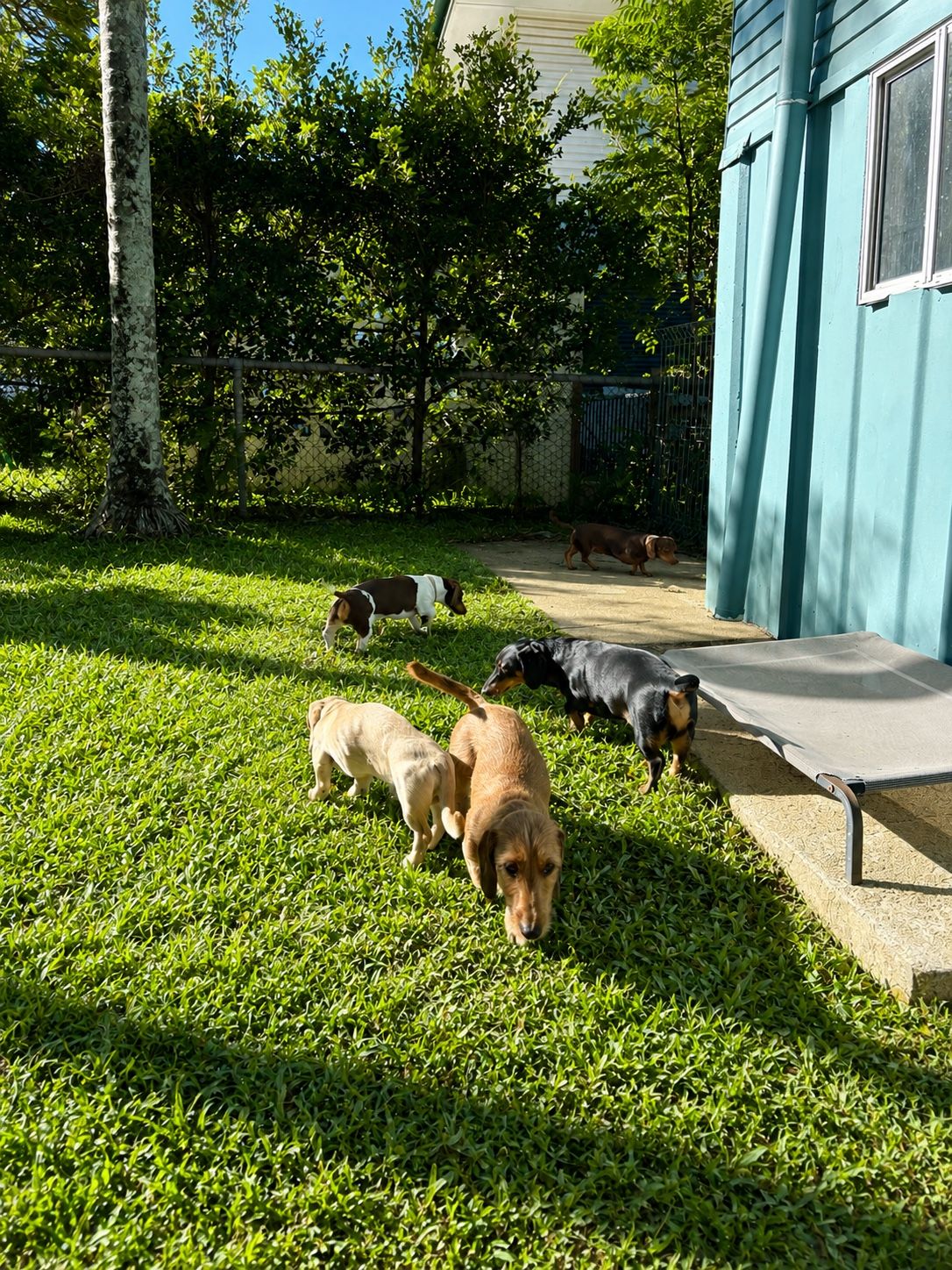 image-16