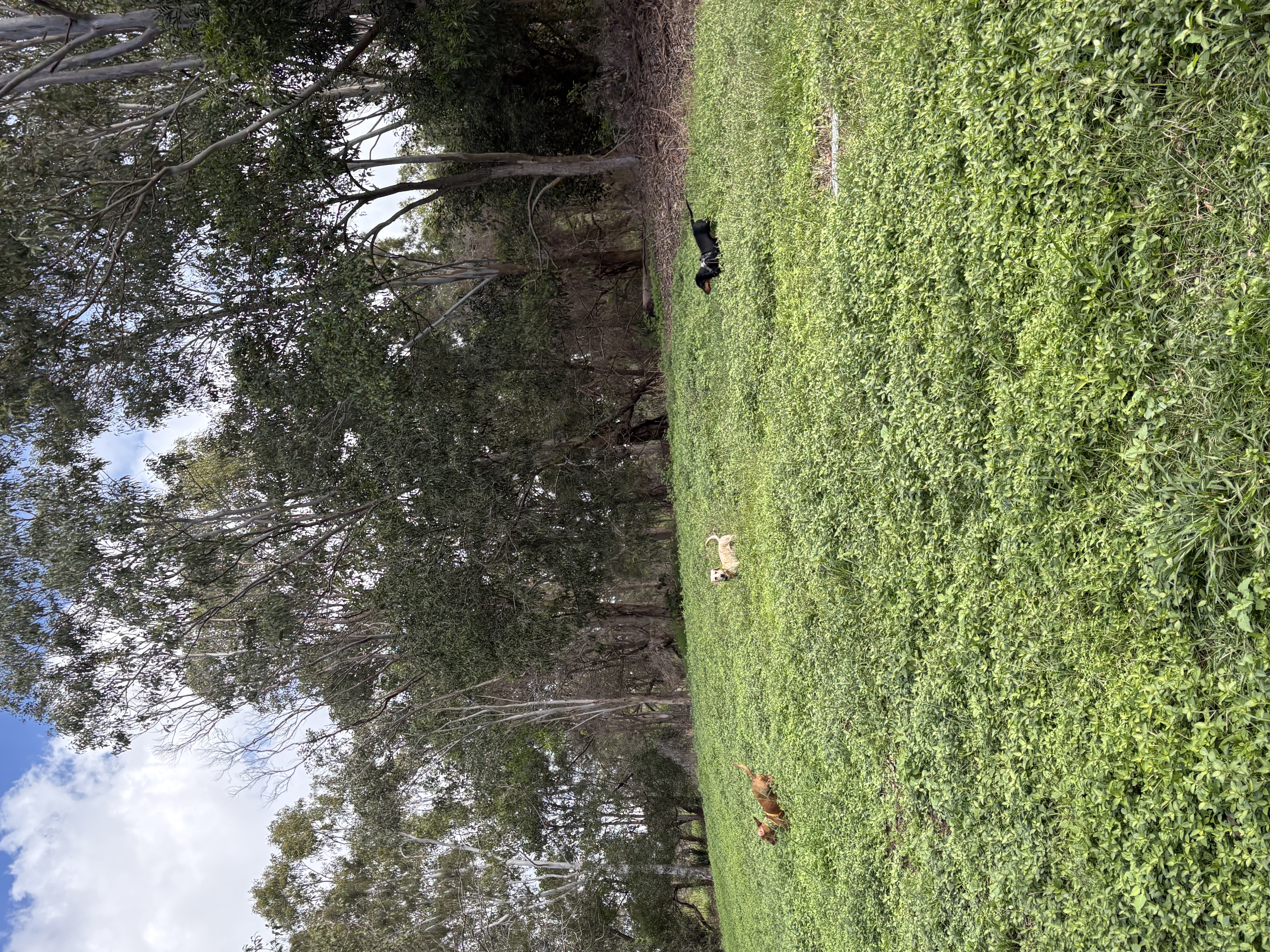 image-13