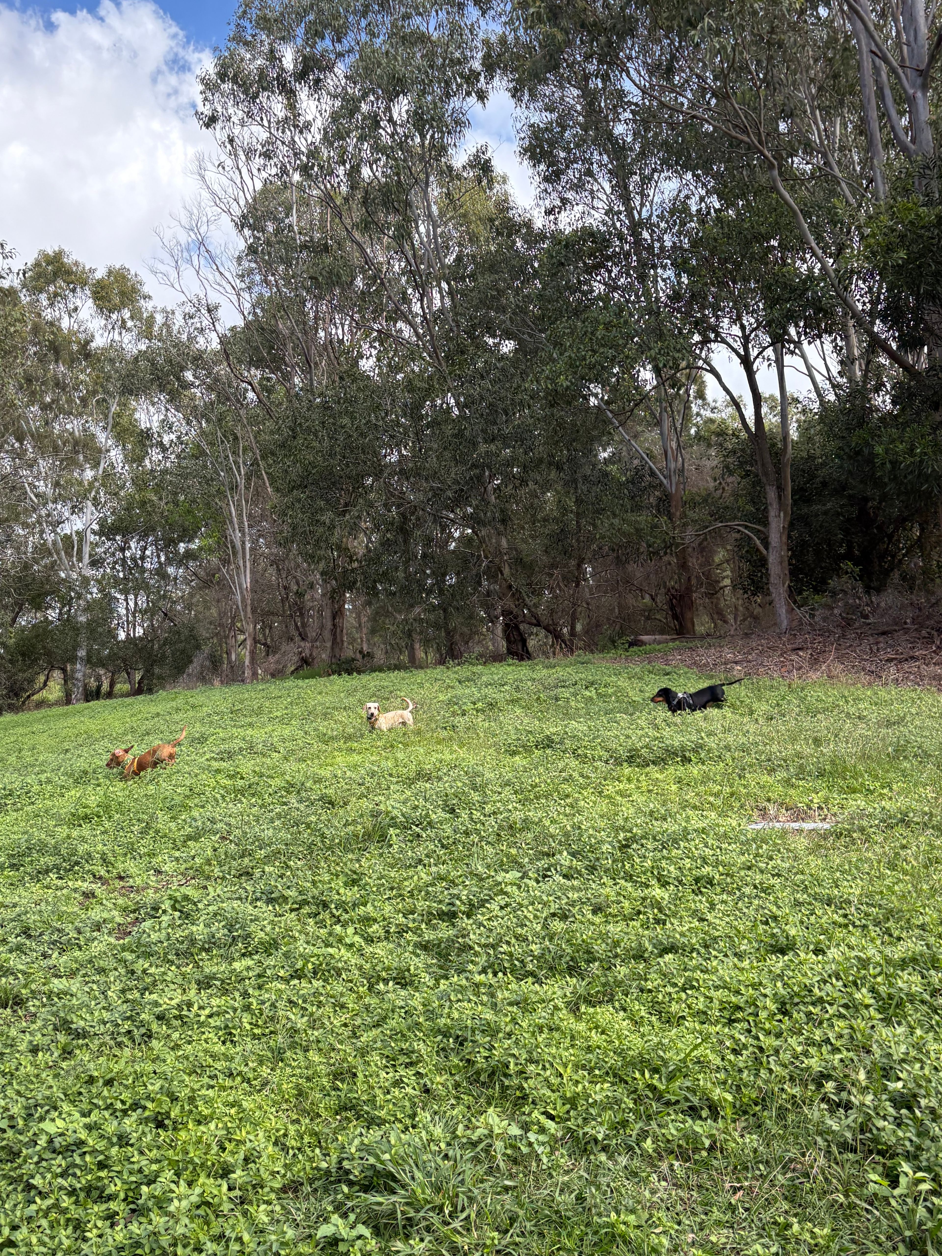 image-13