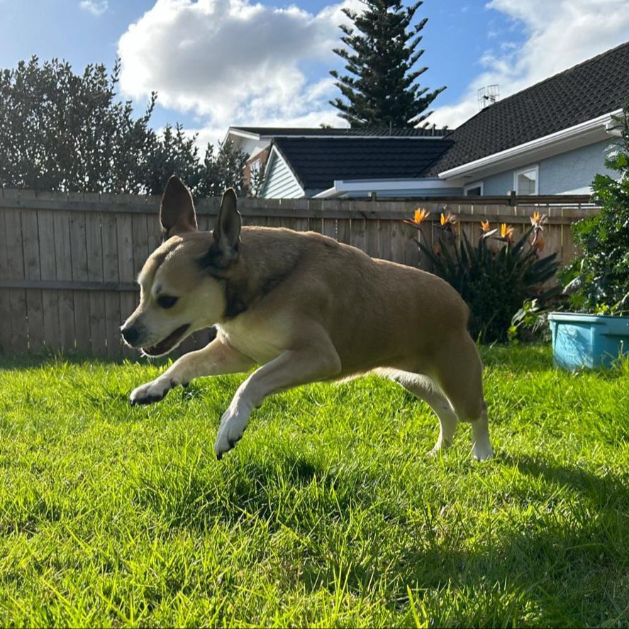 Luna