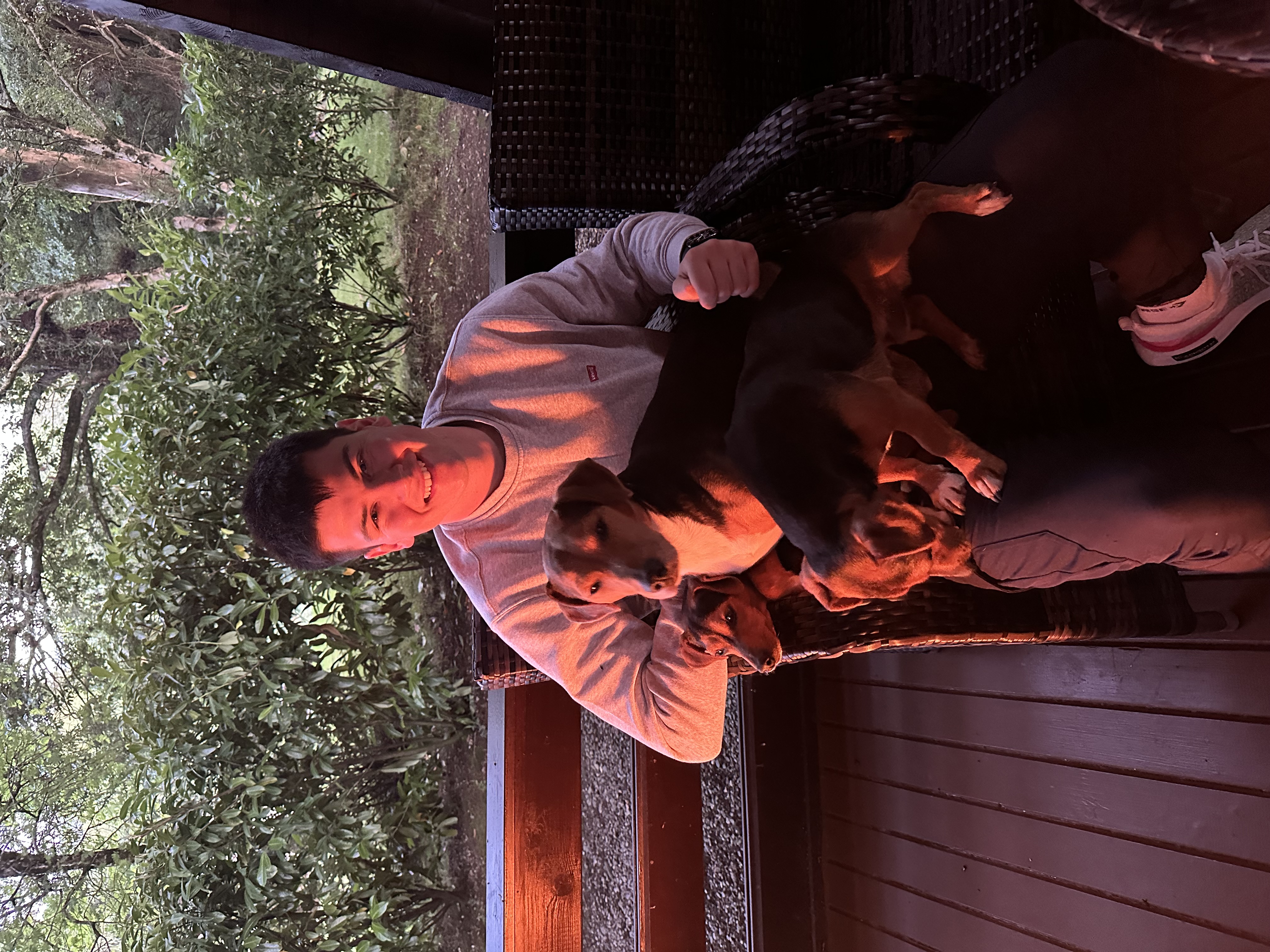 image-6