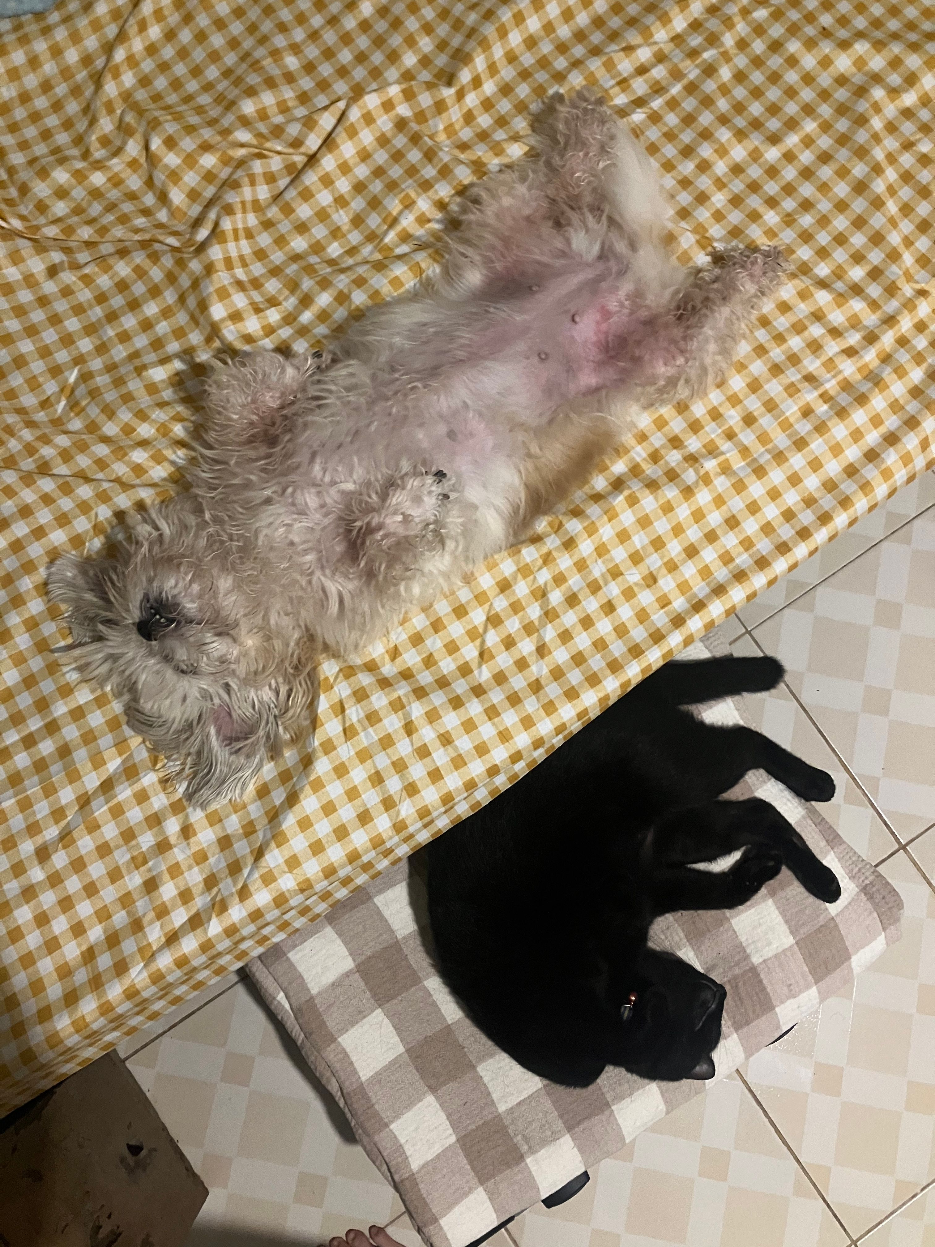 image-7