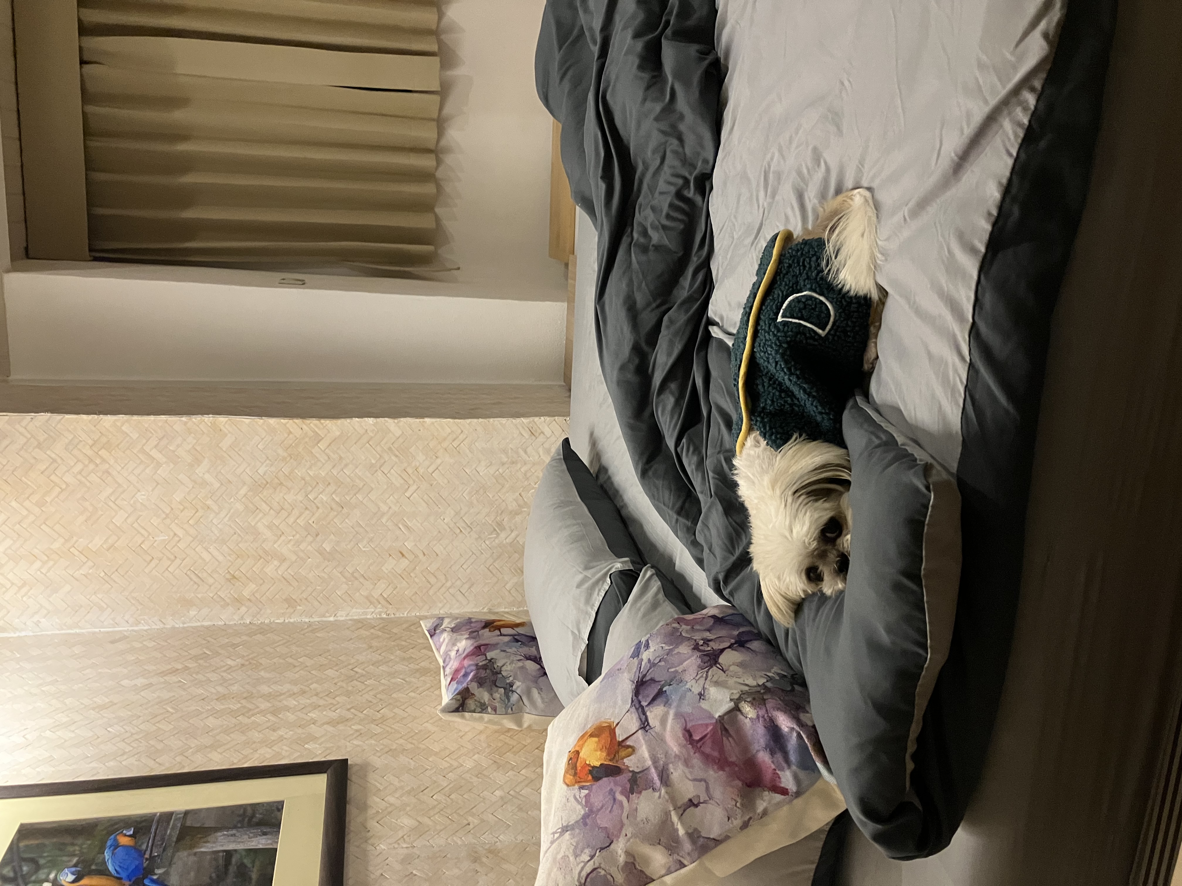 image-18