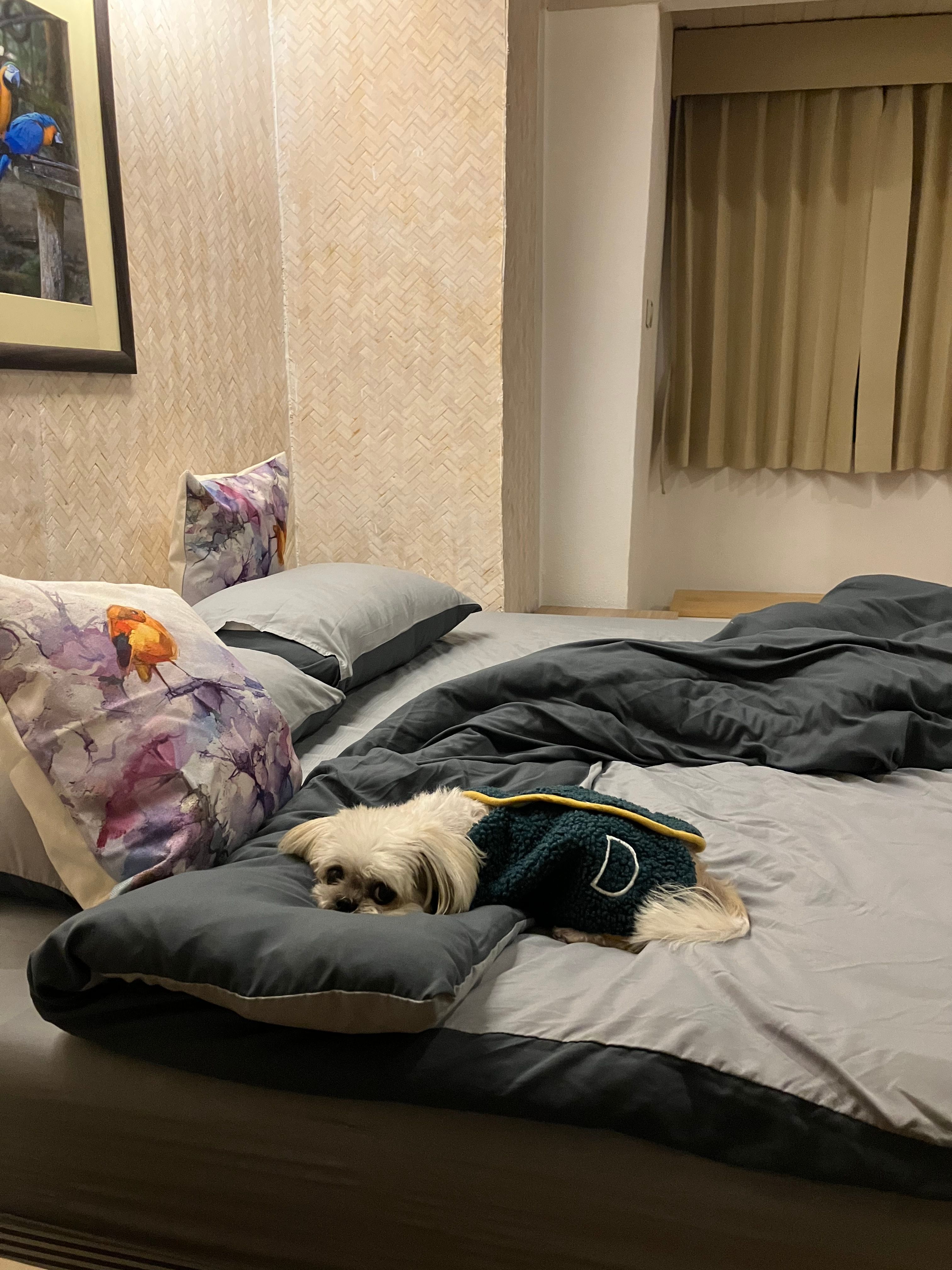 image-18