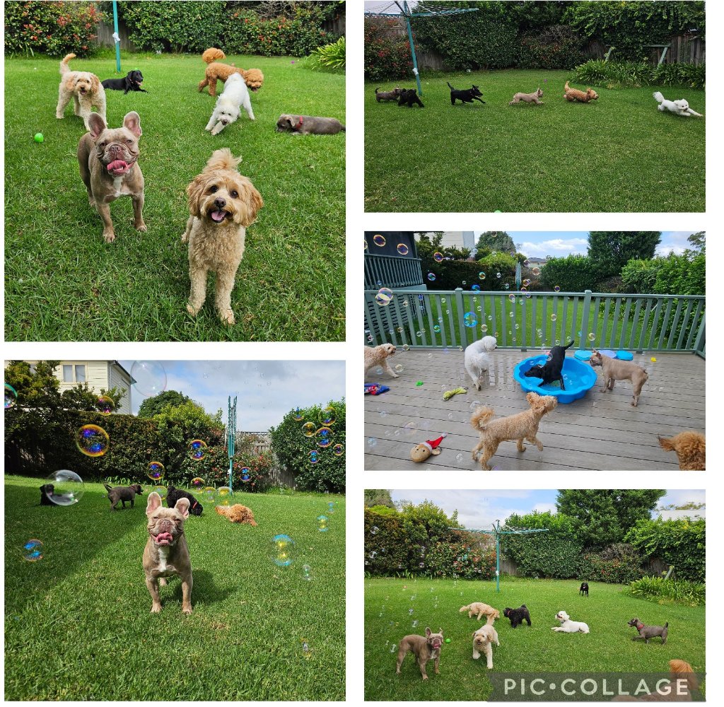 image-49