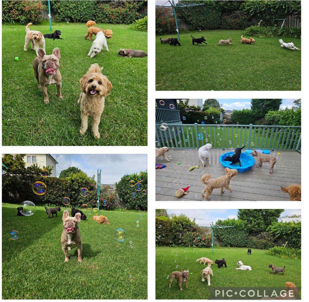 image-49