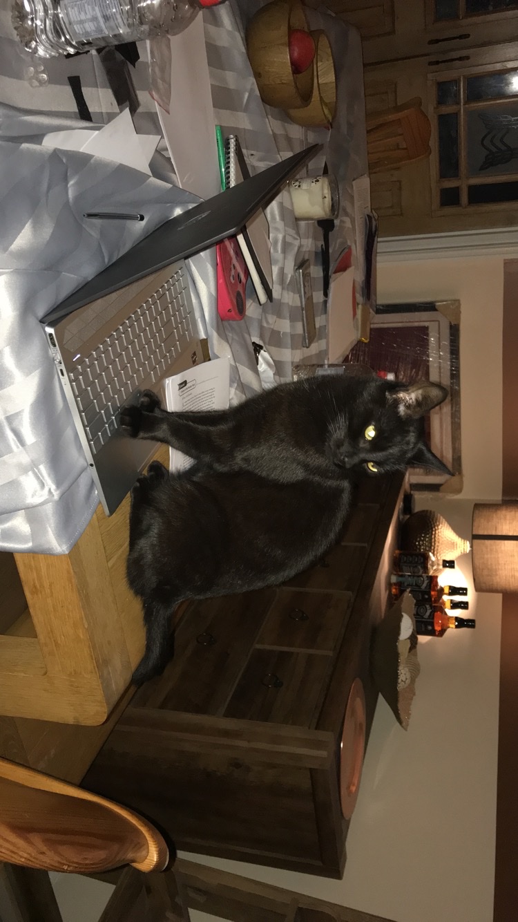 image-7