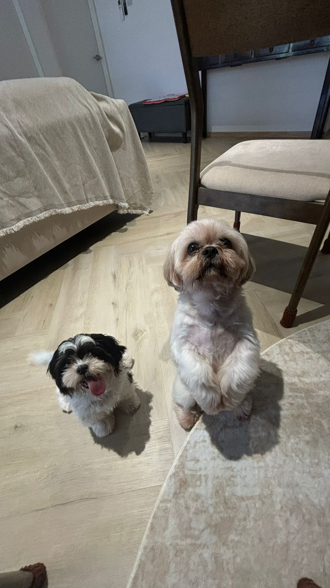 image-22