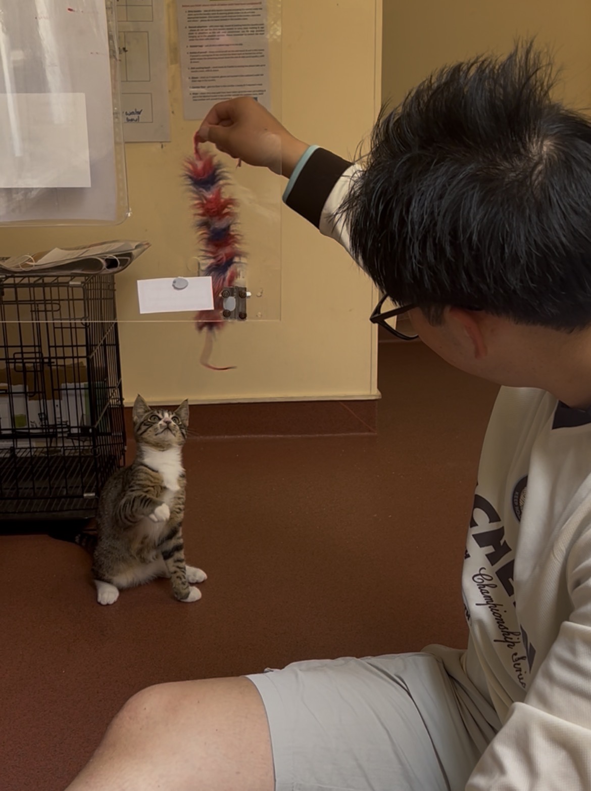 image-8