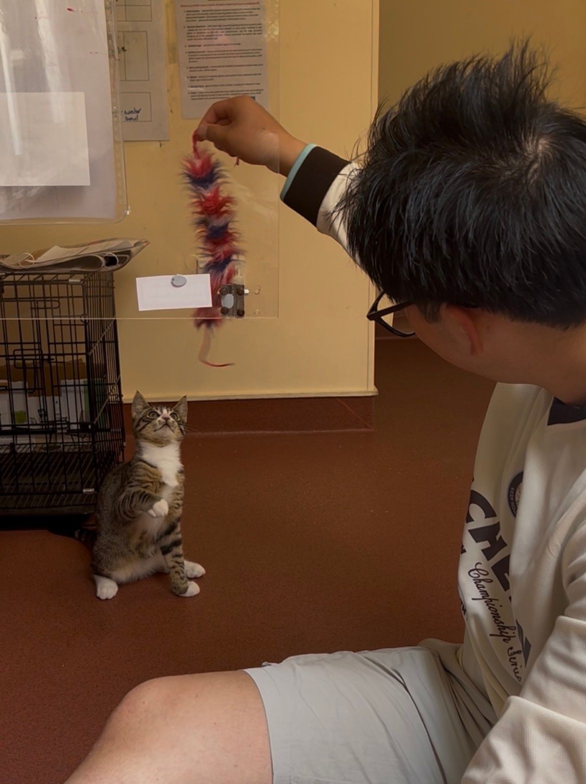 image-8