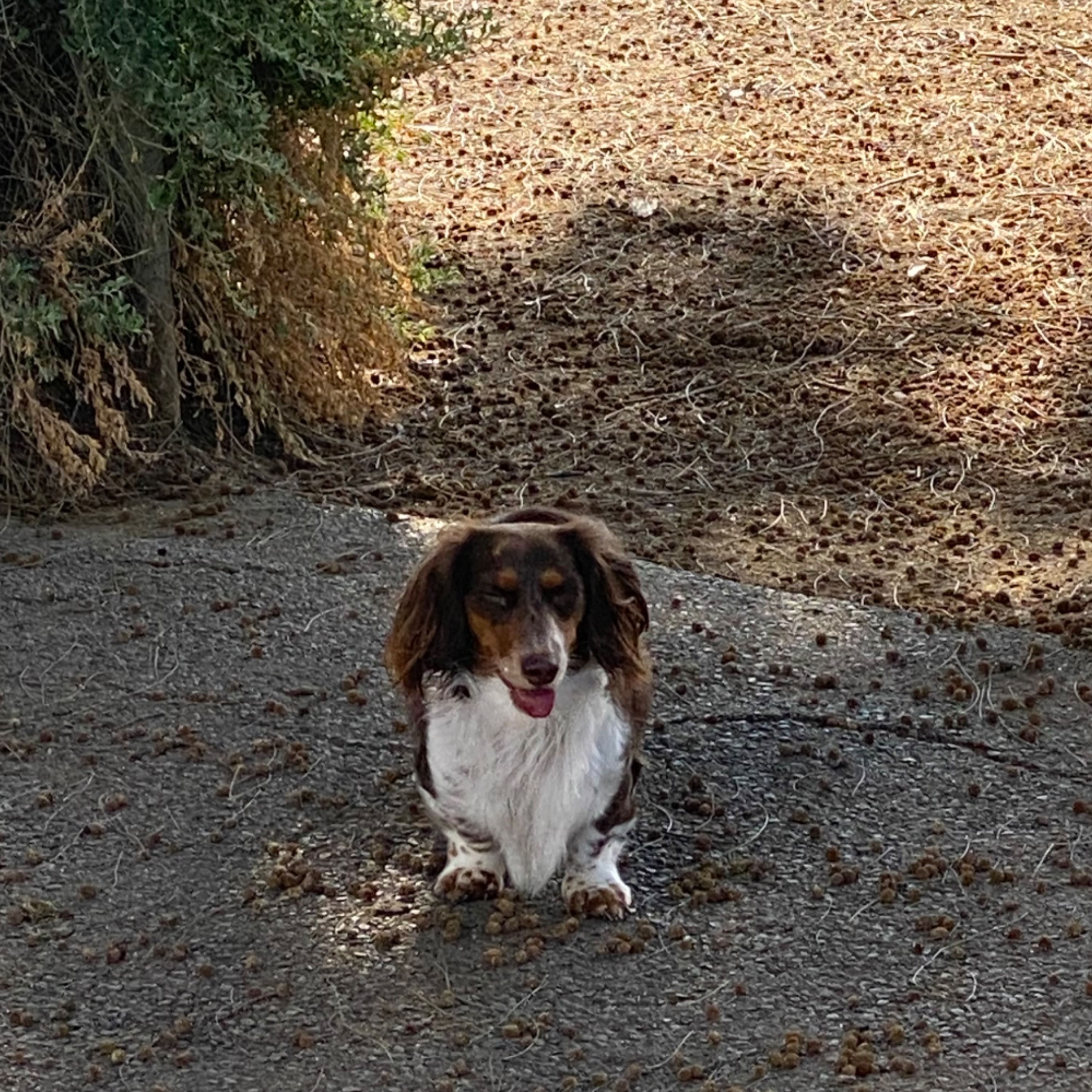 Winnie