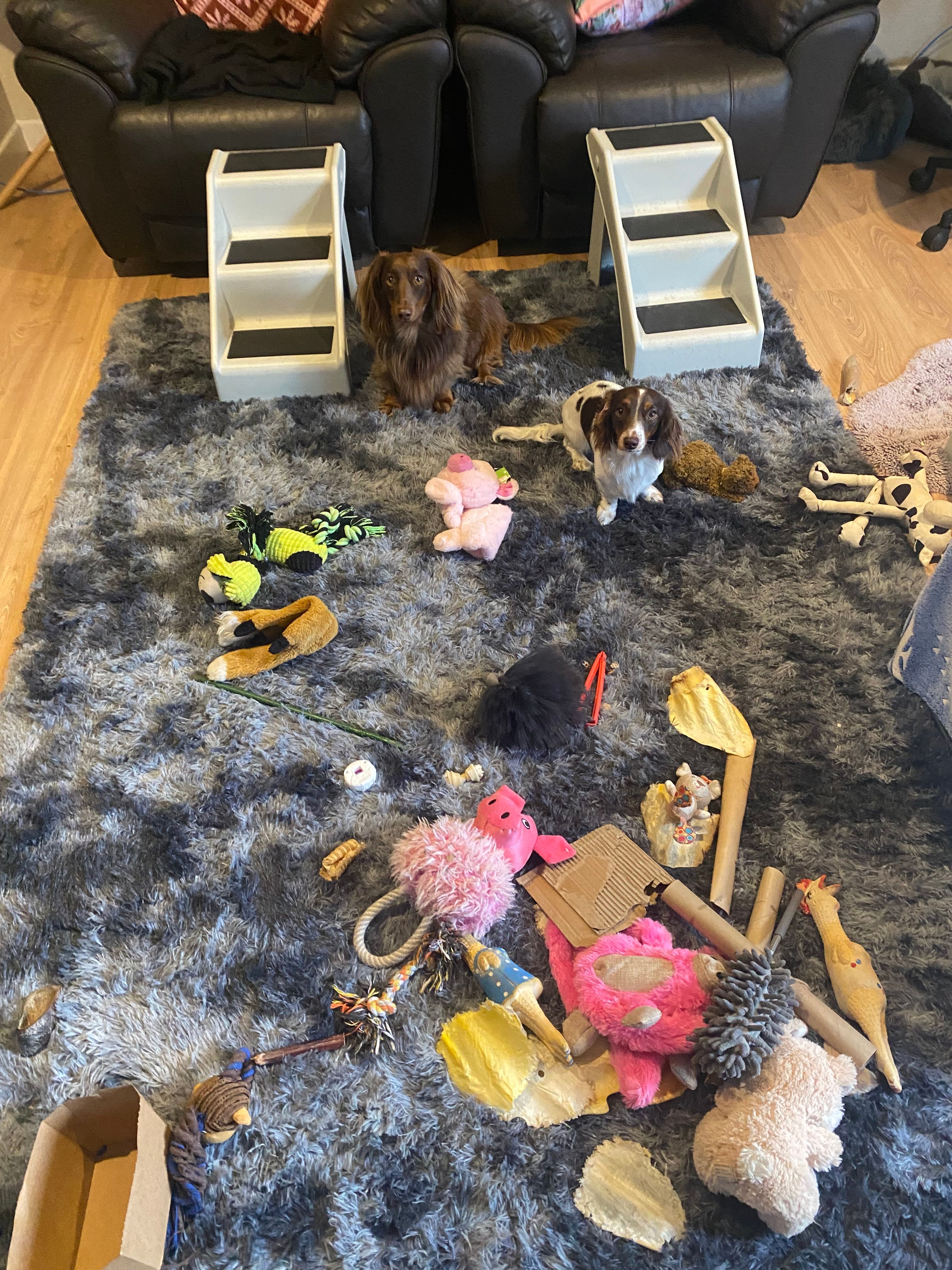 image-5