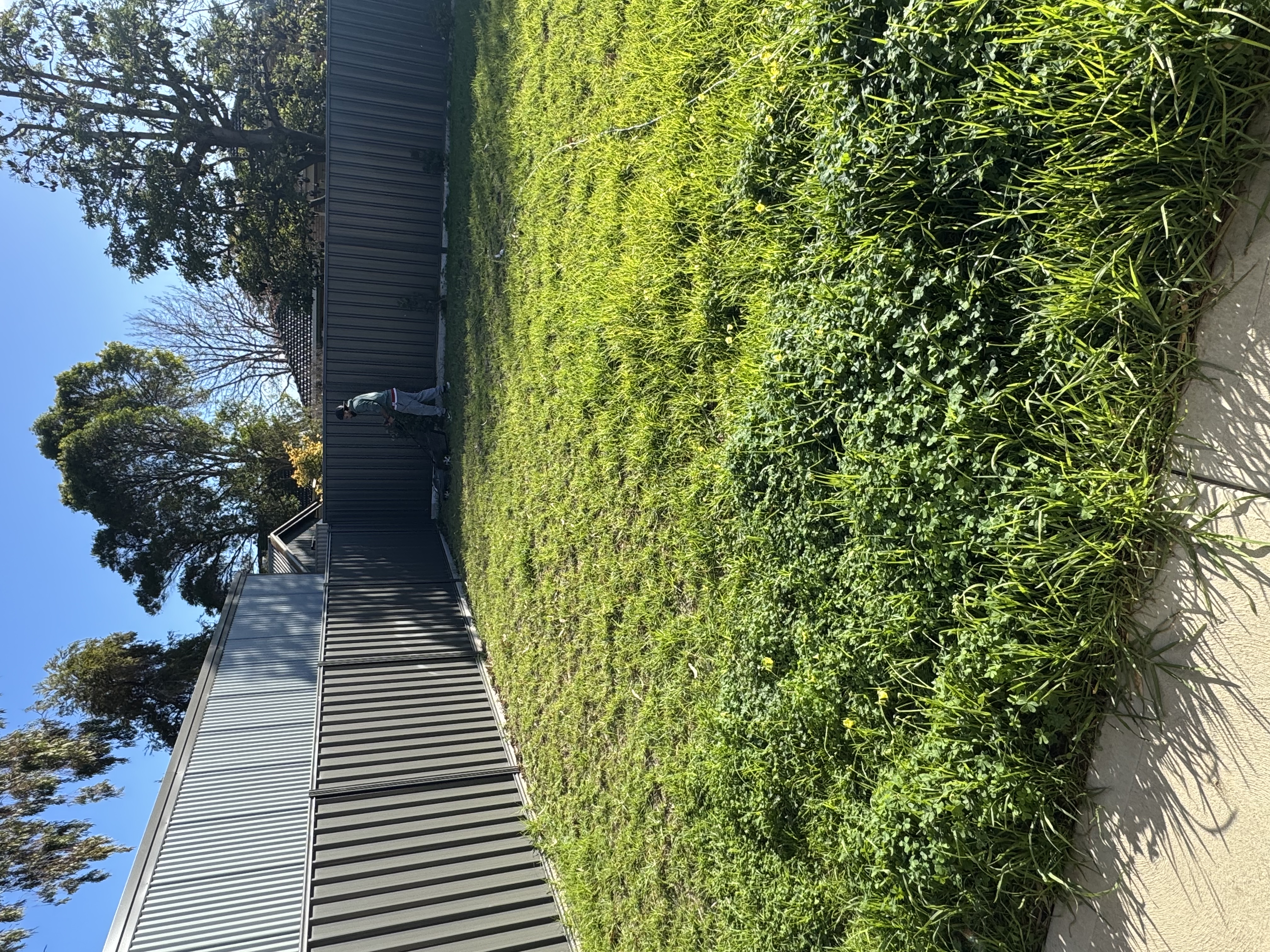 image-17