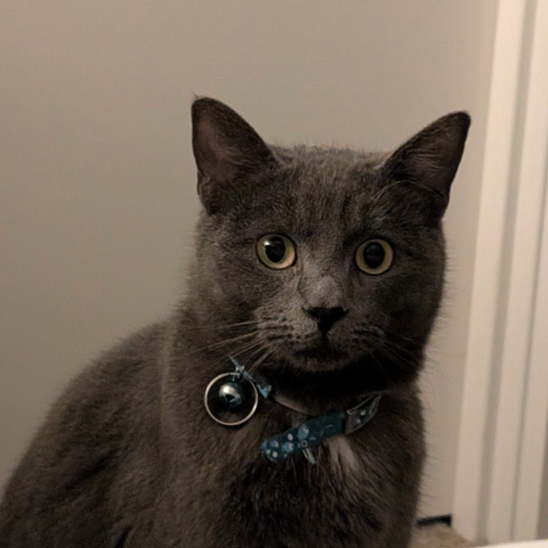 Mochi