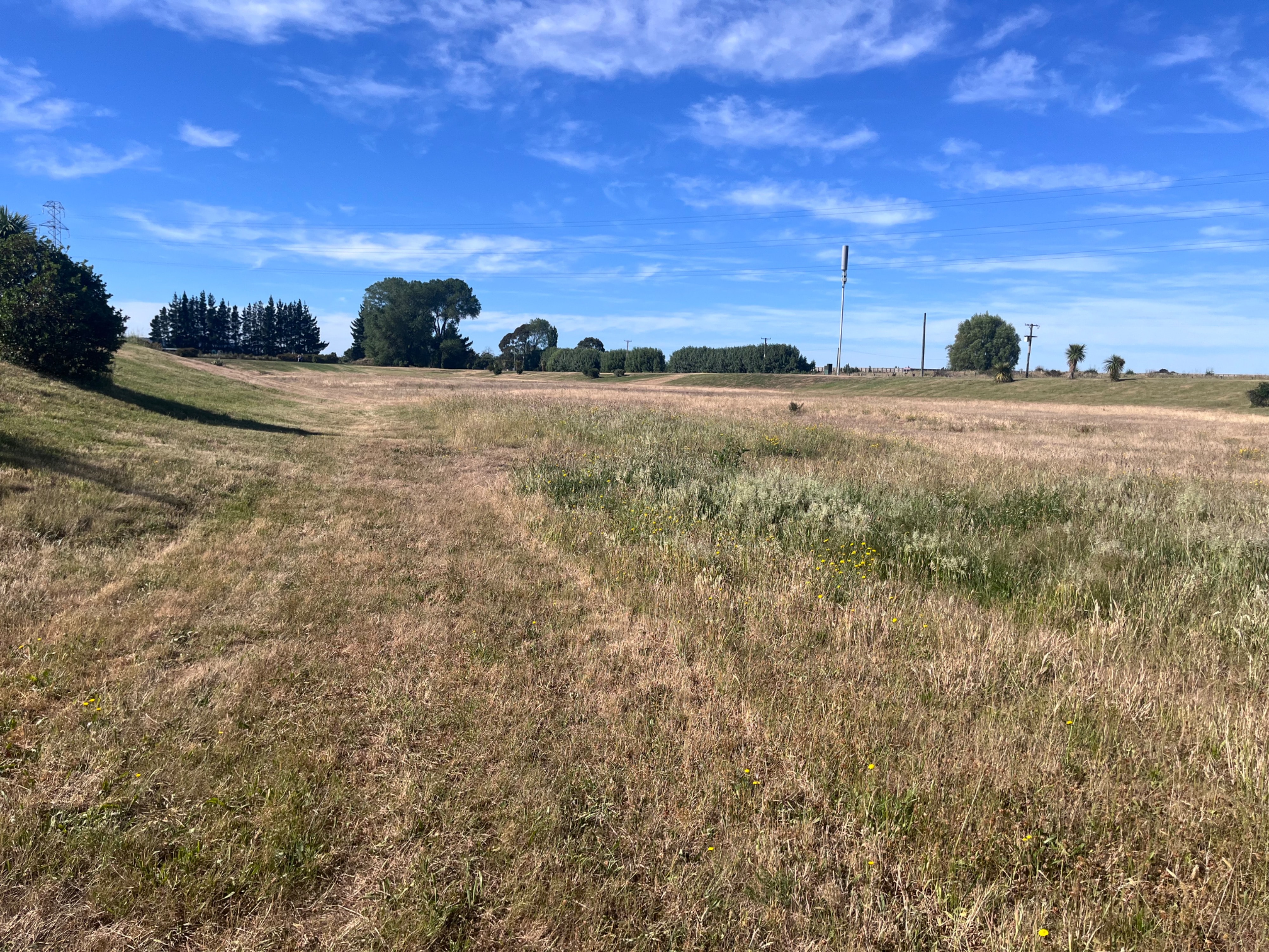 image-20
