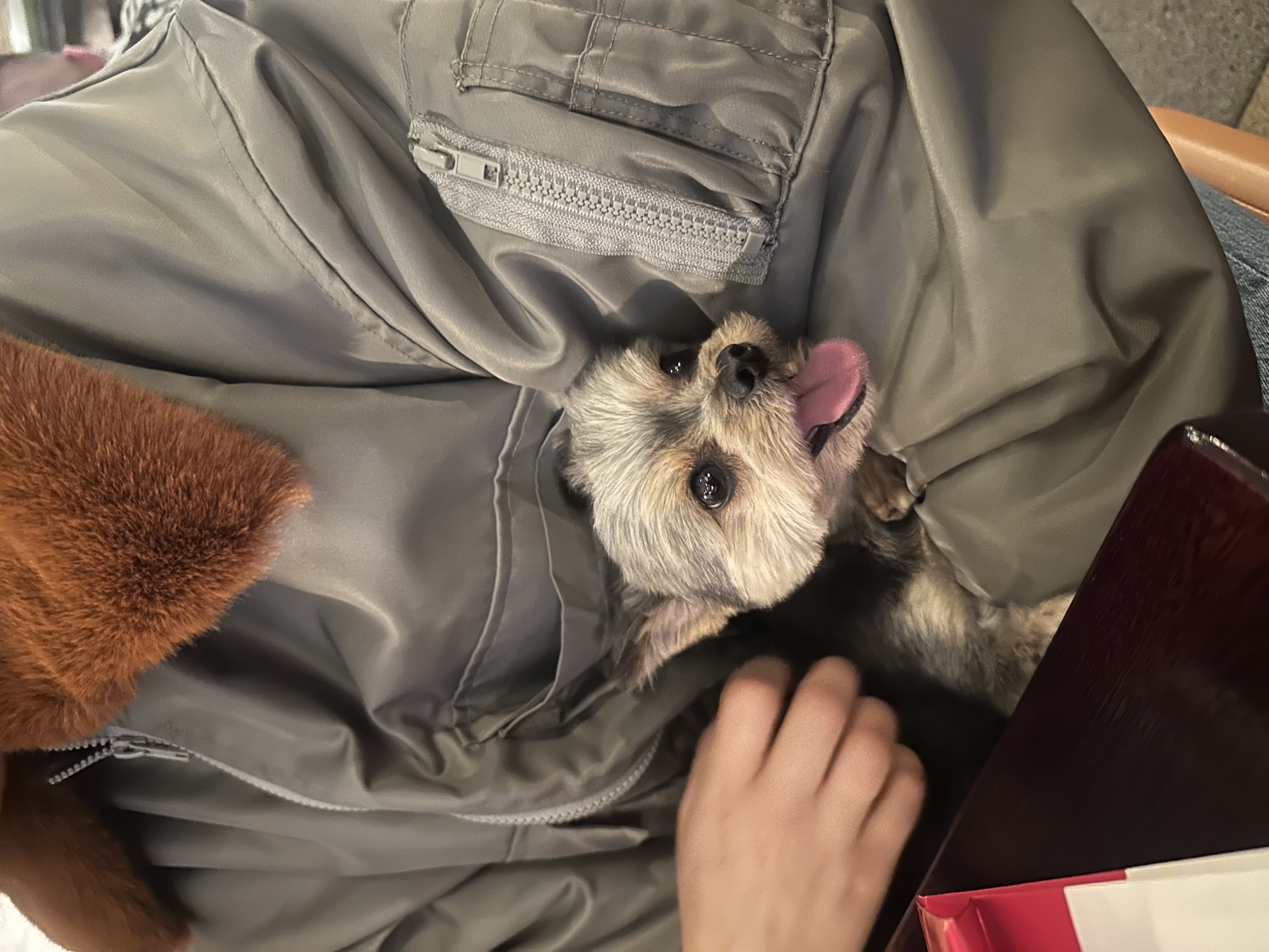 image-9