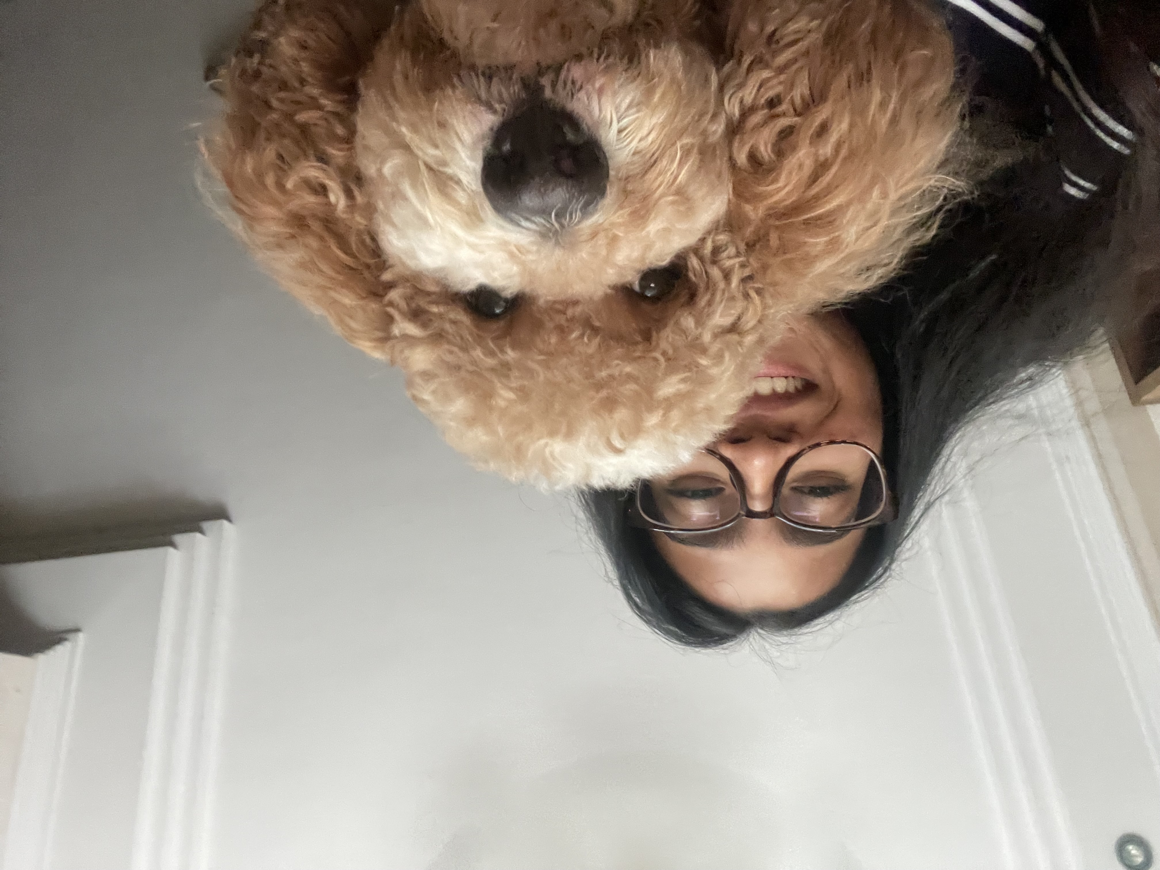 image-6