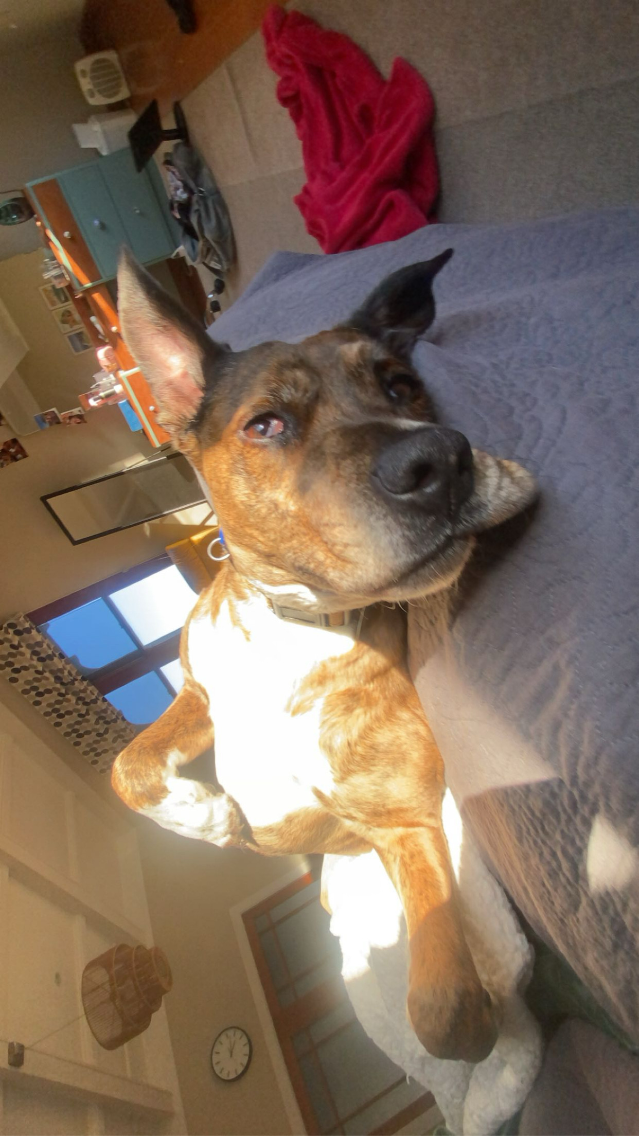 image-8