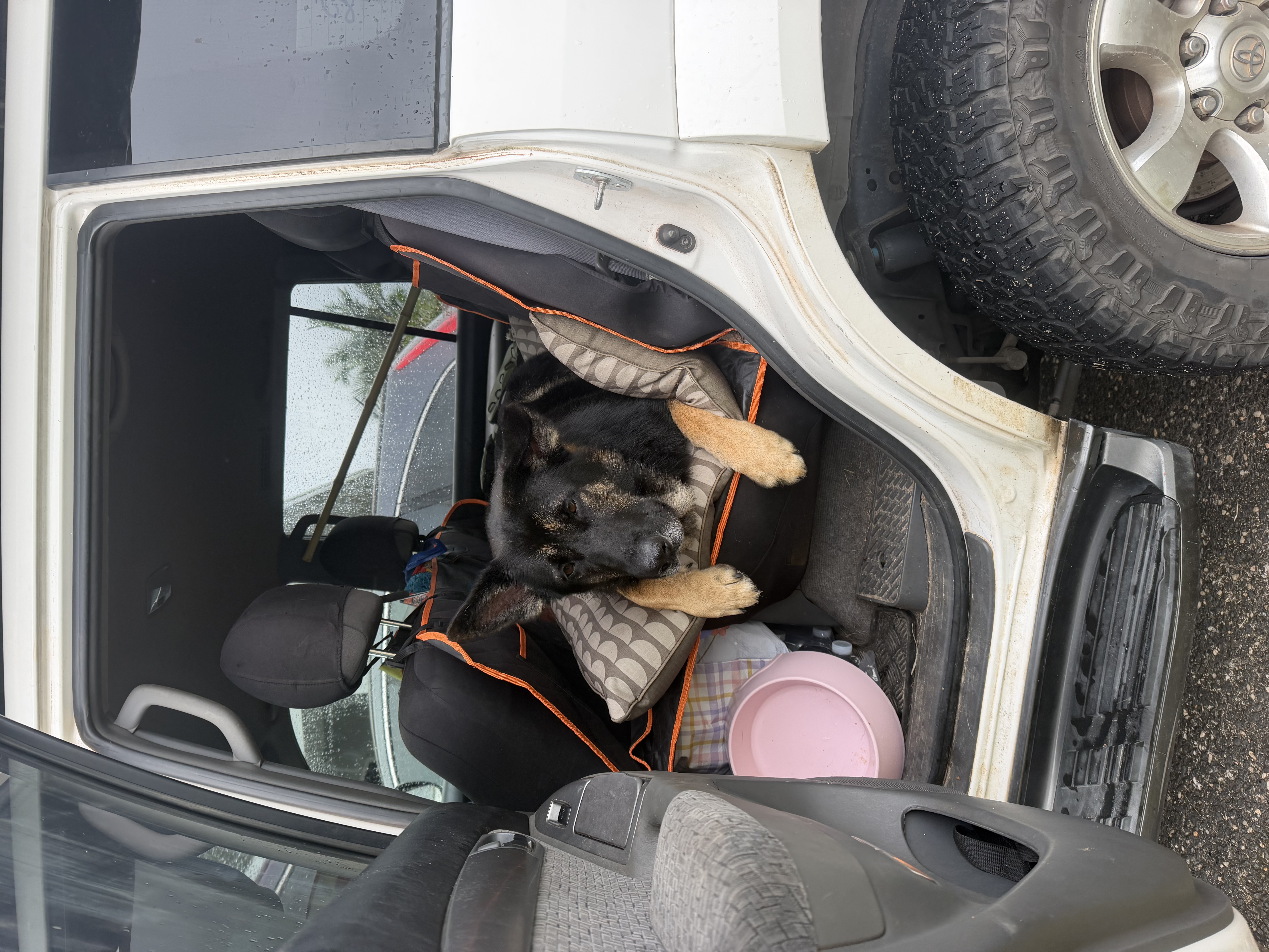 image-9