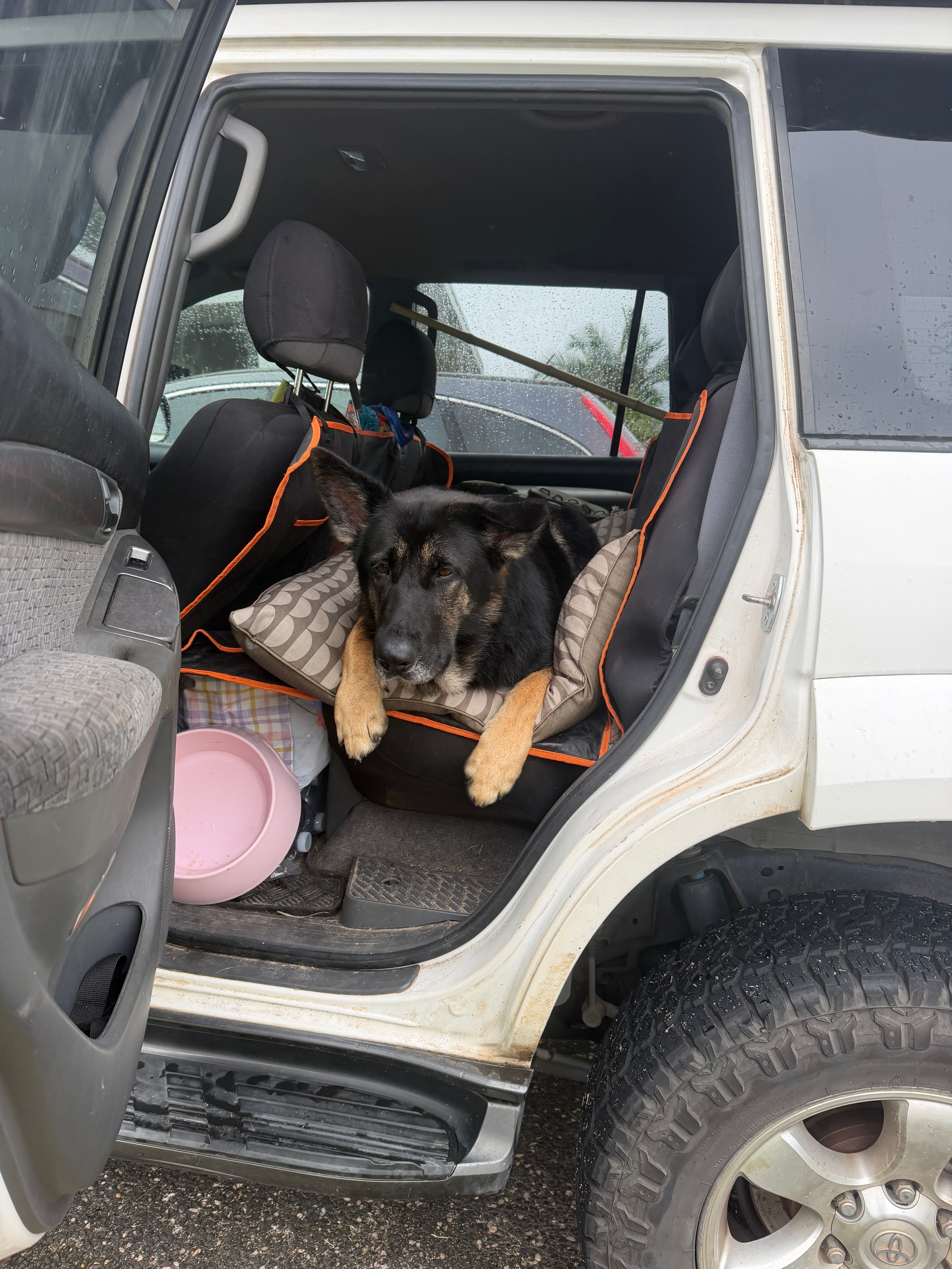 image-9