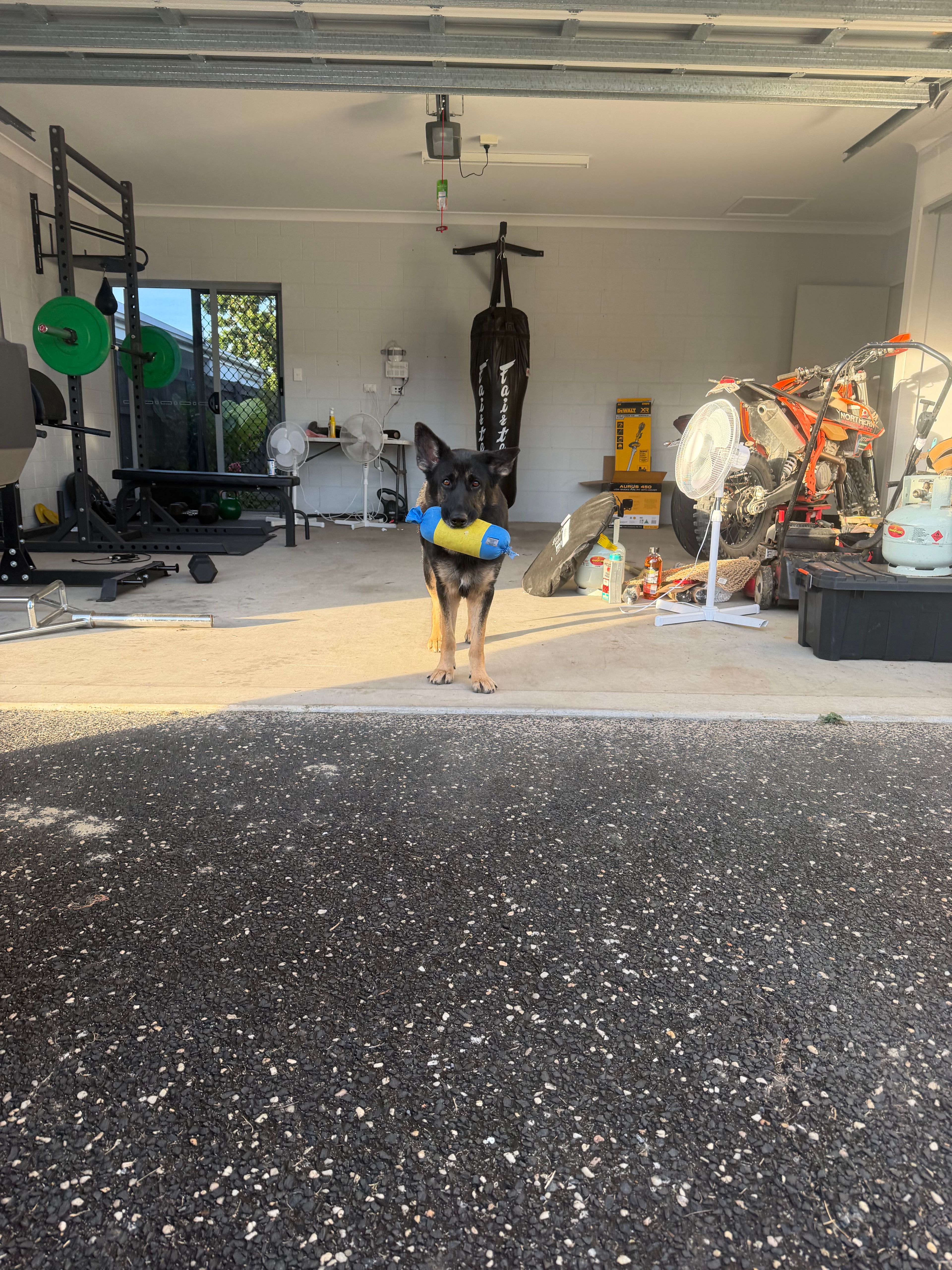 image-17