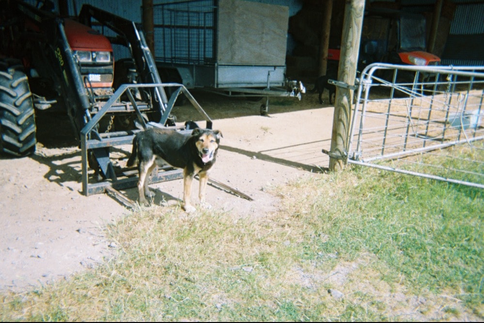 image-2
