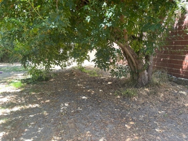 image-14