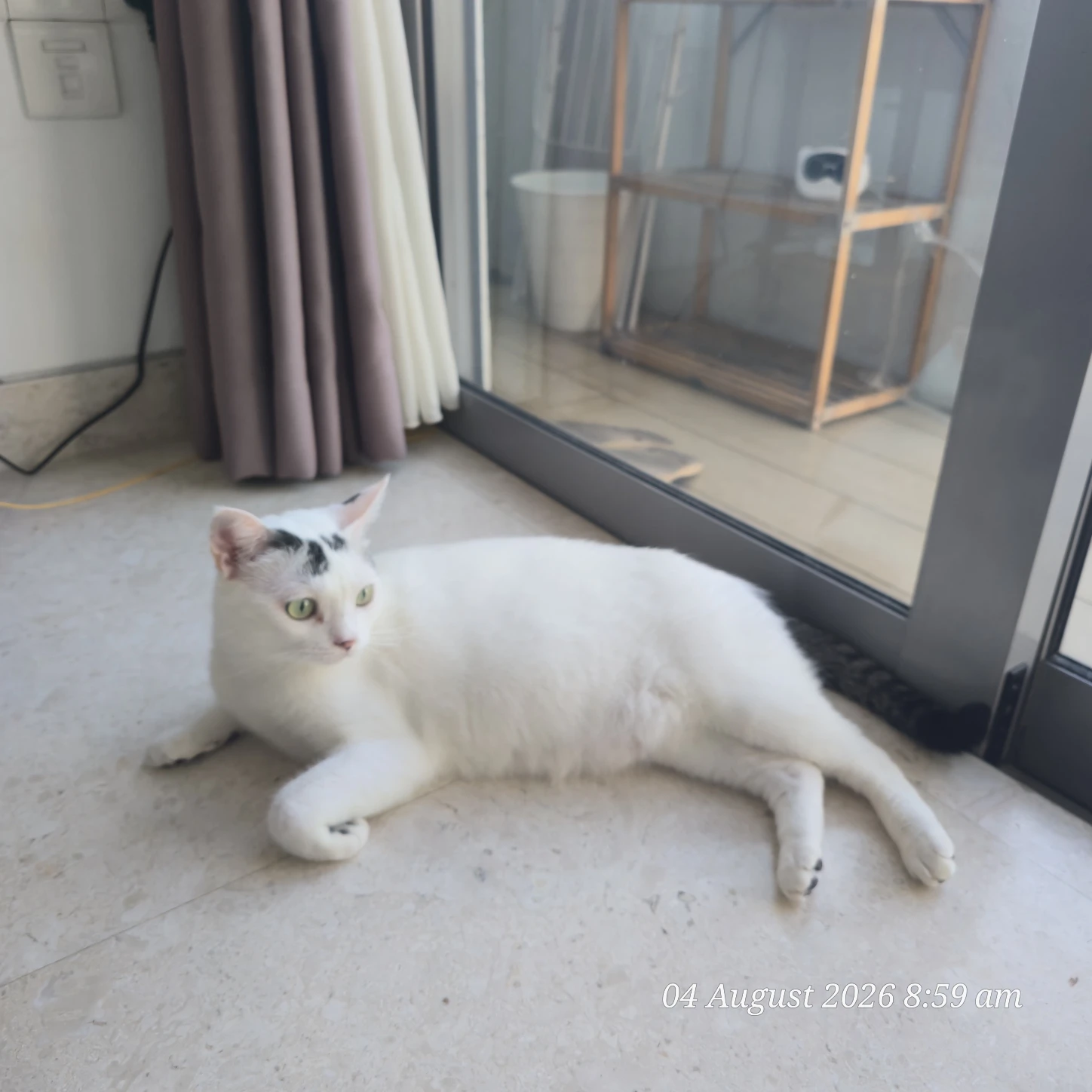 image-18
