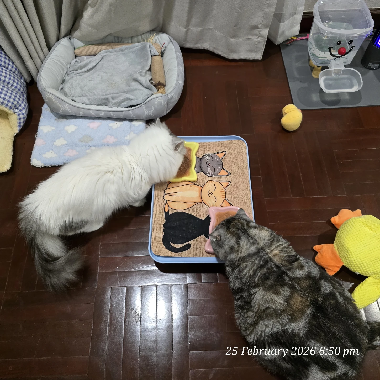 image-28