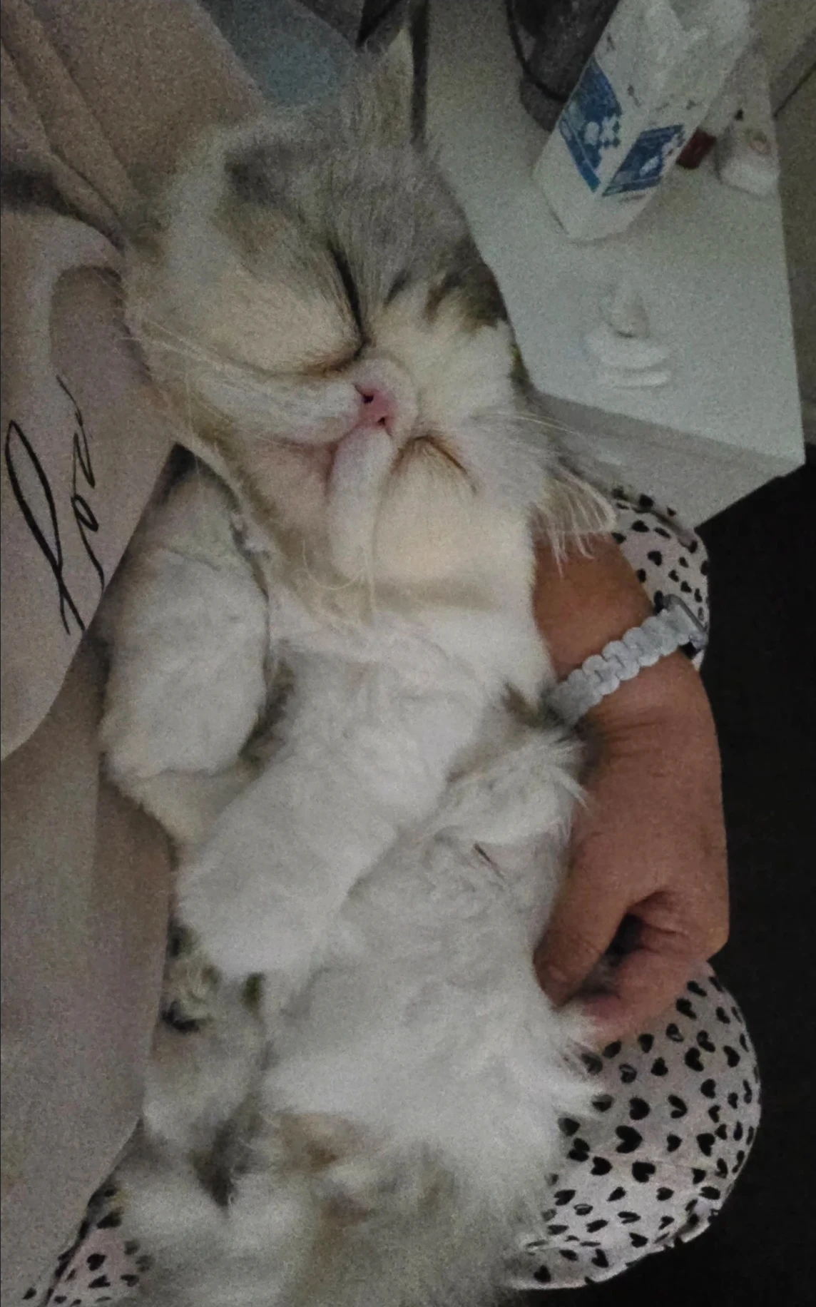 image-7